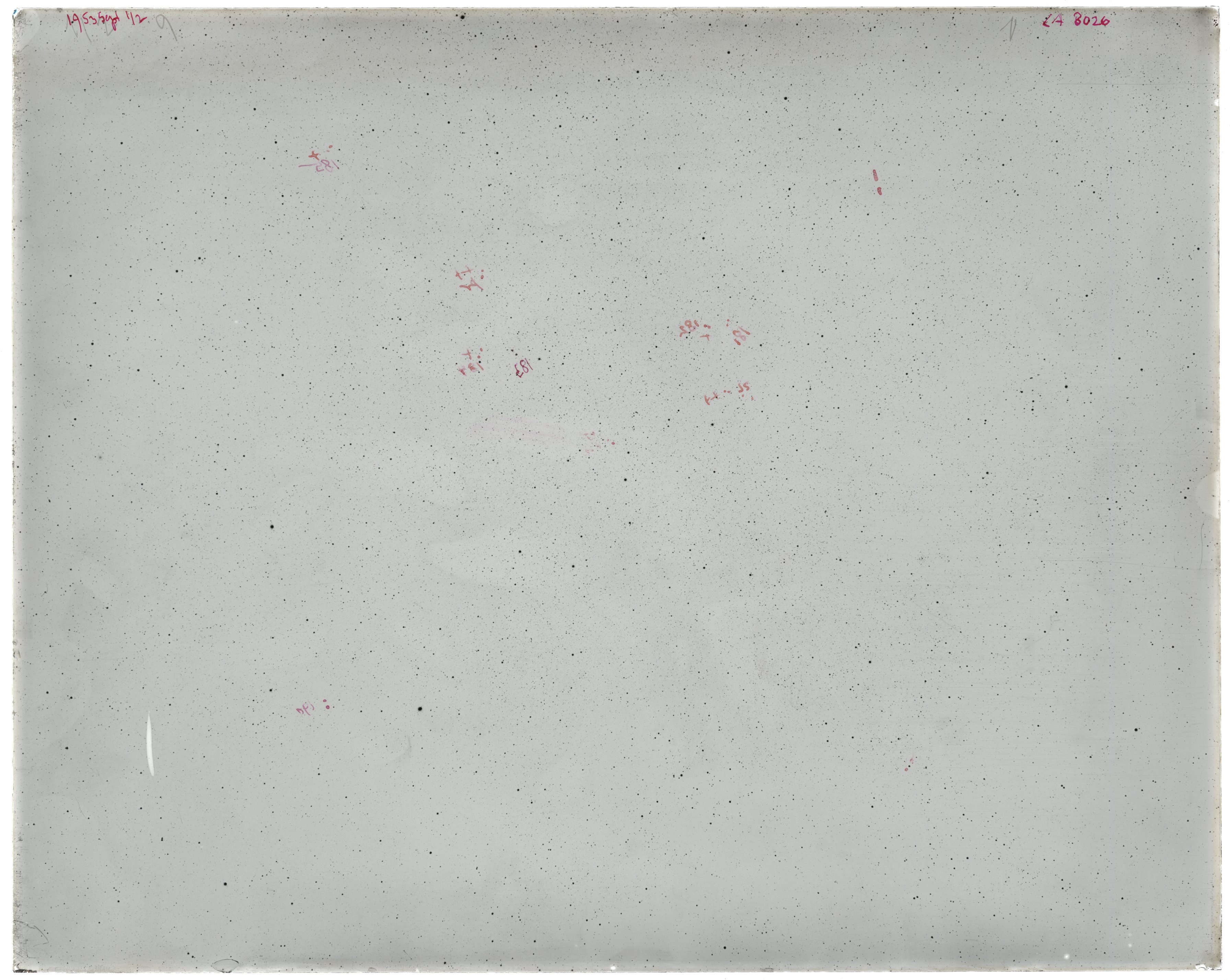 Scan LA08026