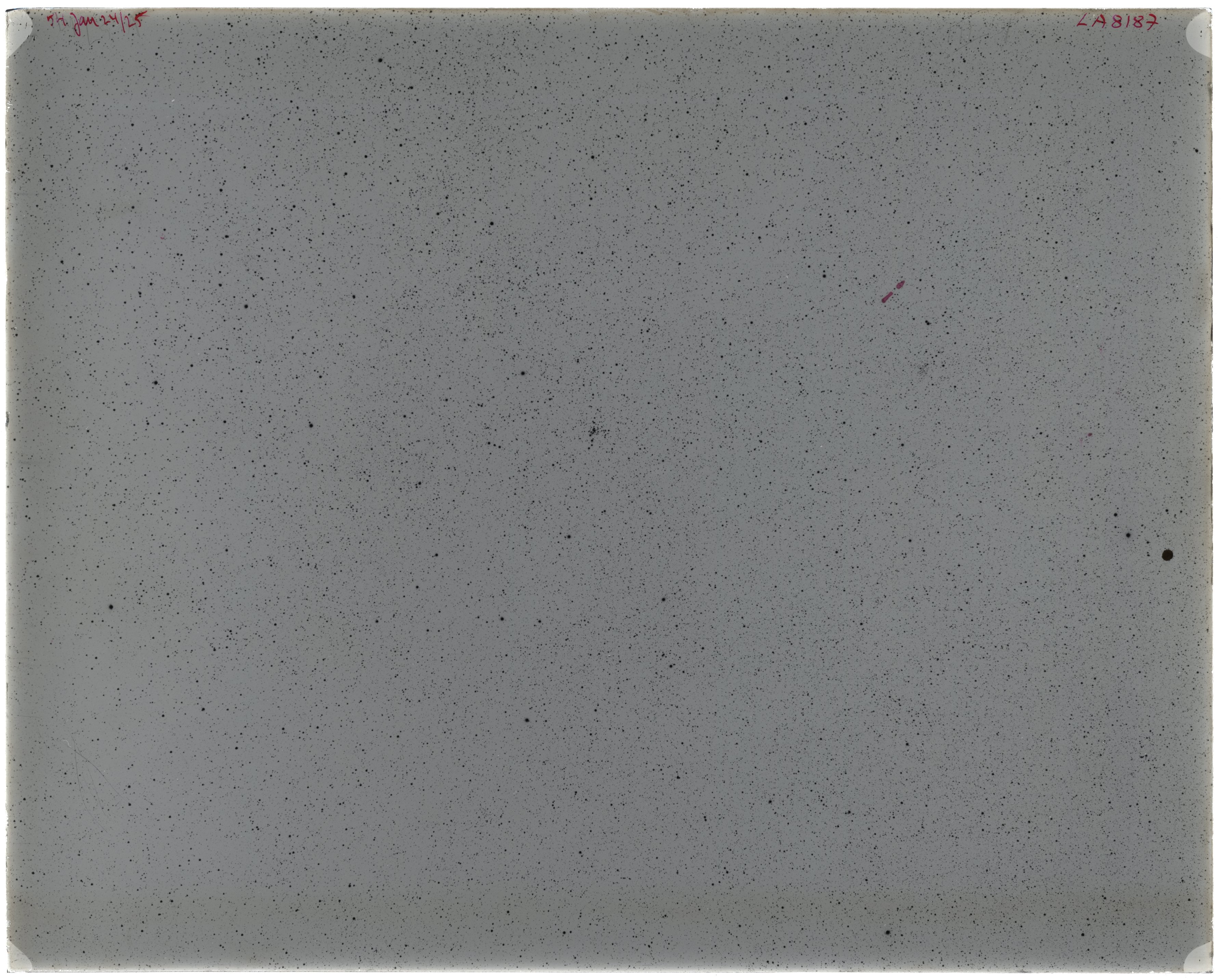 Scan LA08187