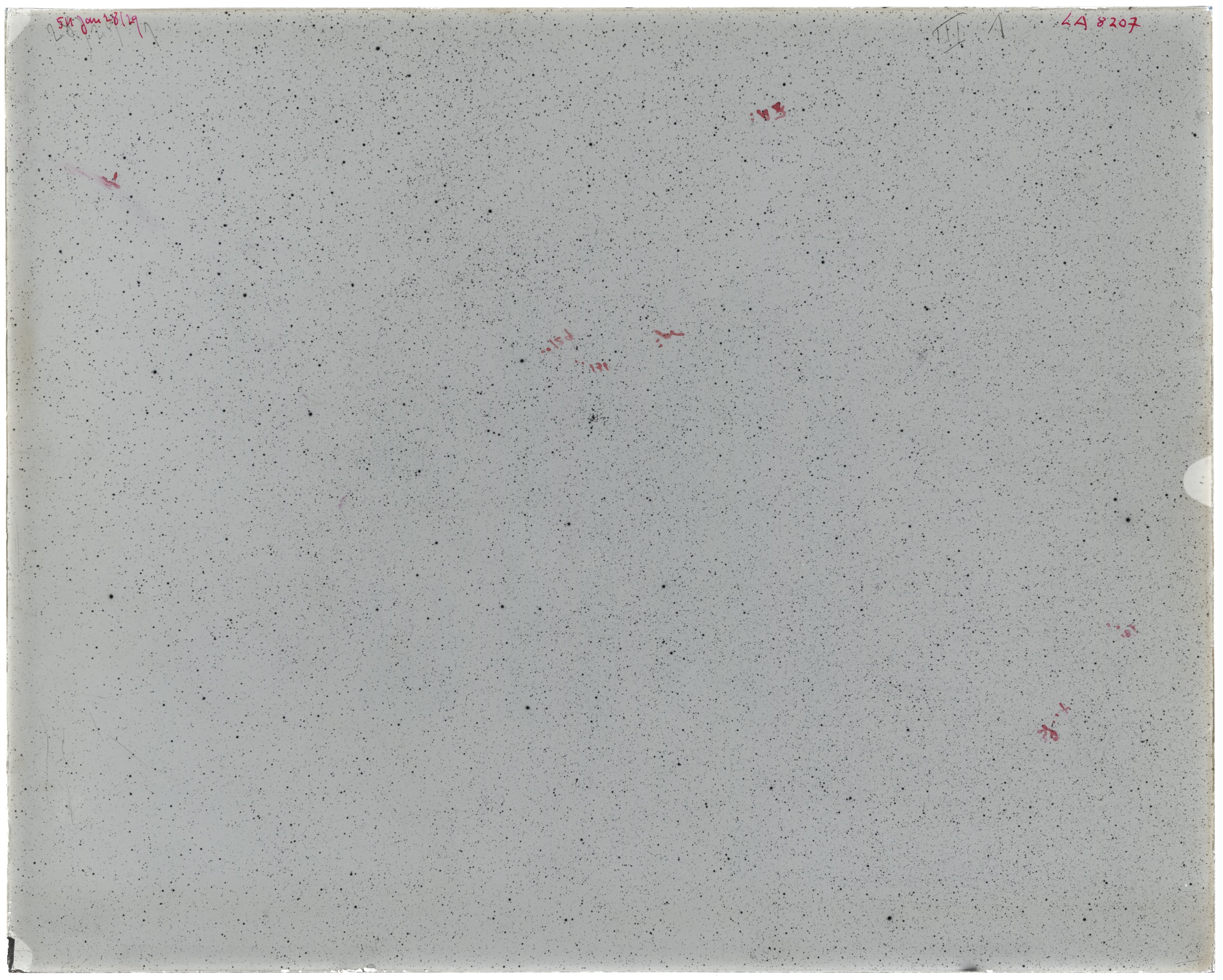 Scan LA08207