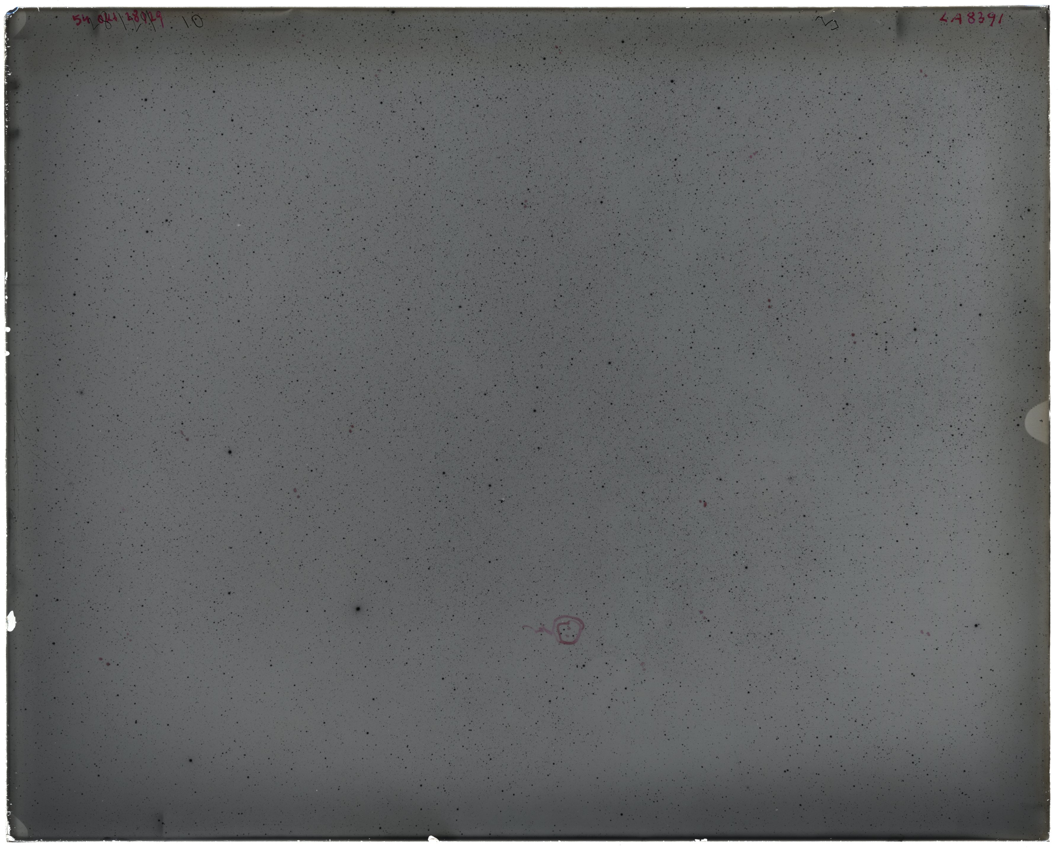 Scan LA08391