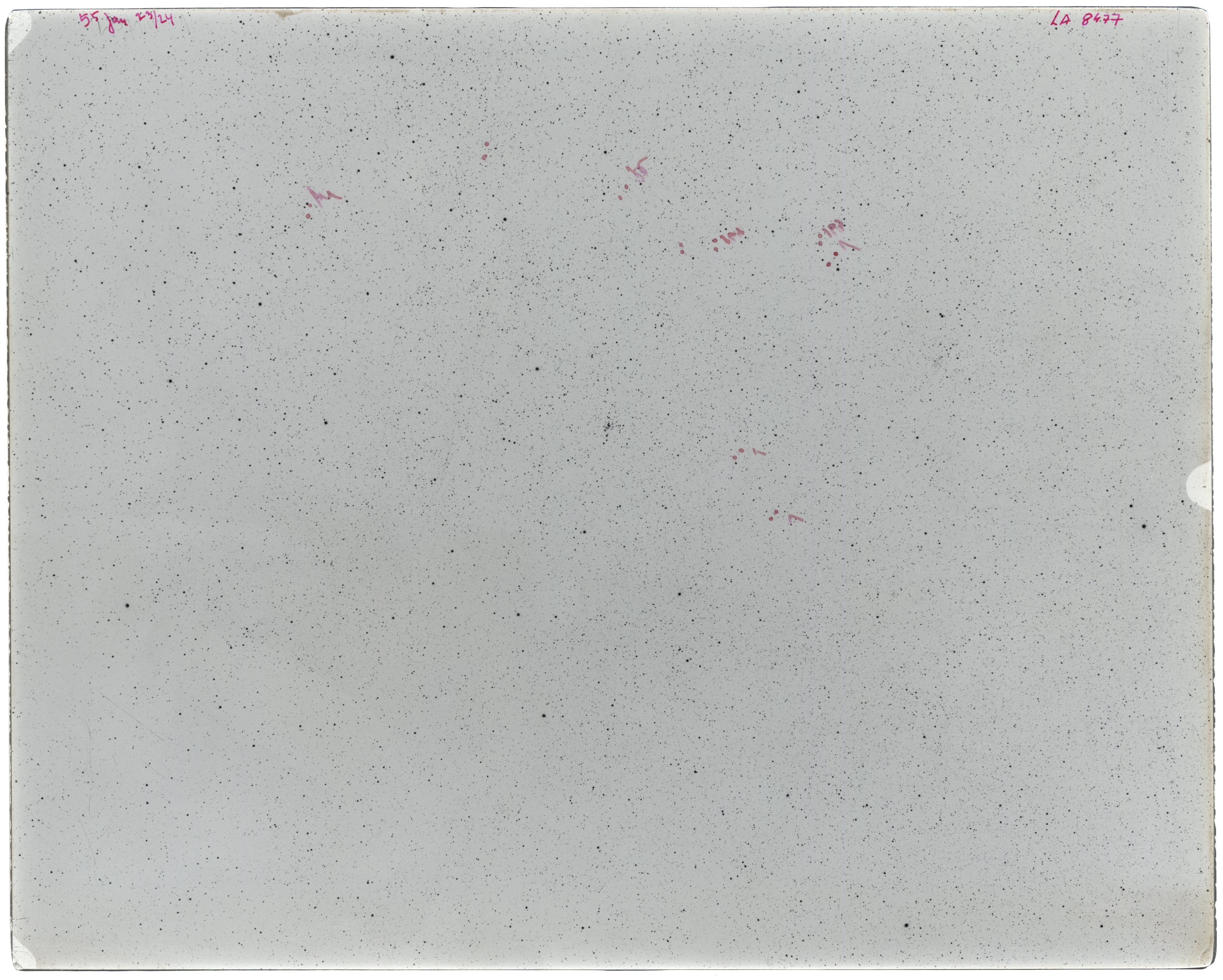 Scan LA08477