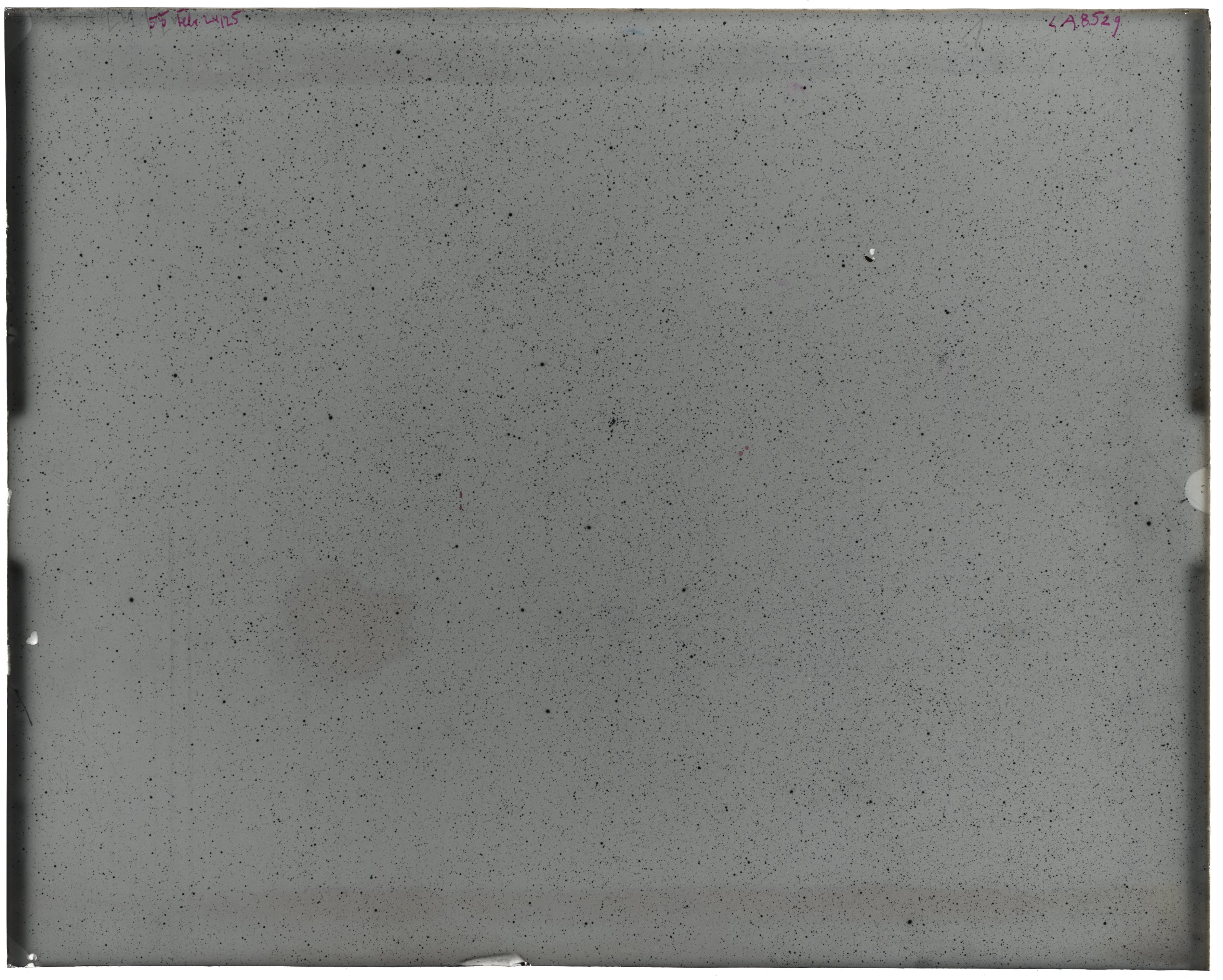 Scan LA08529