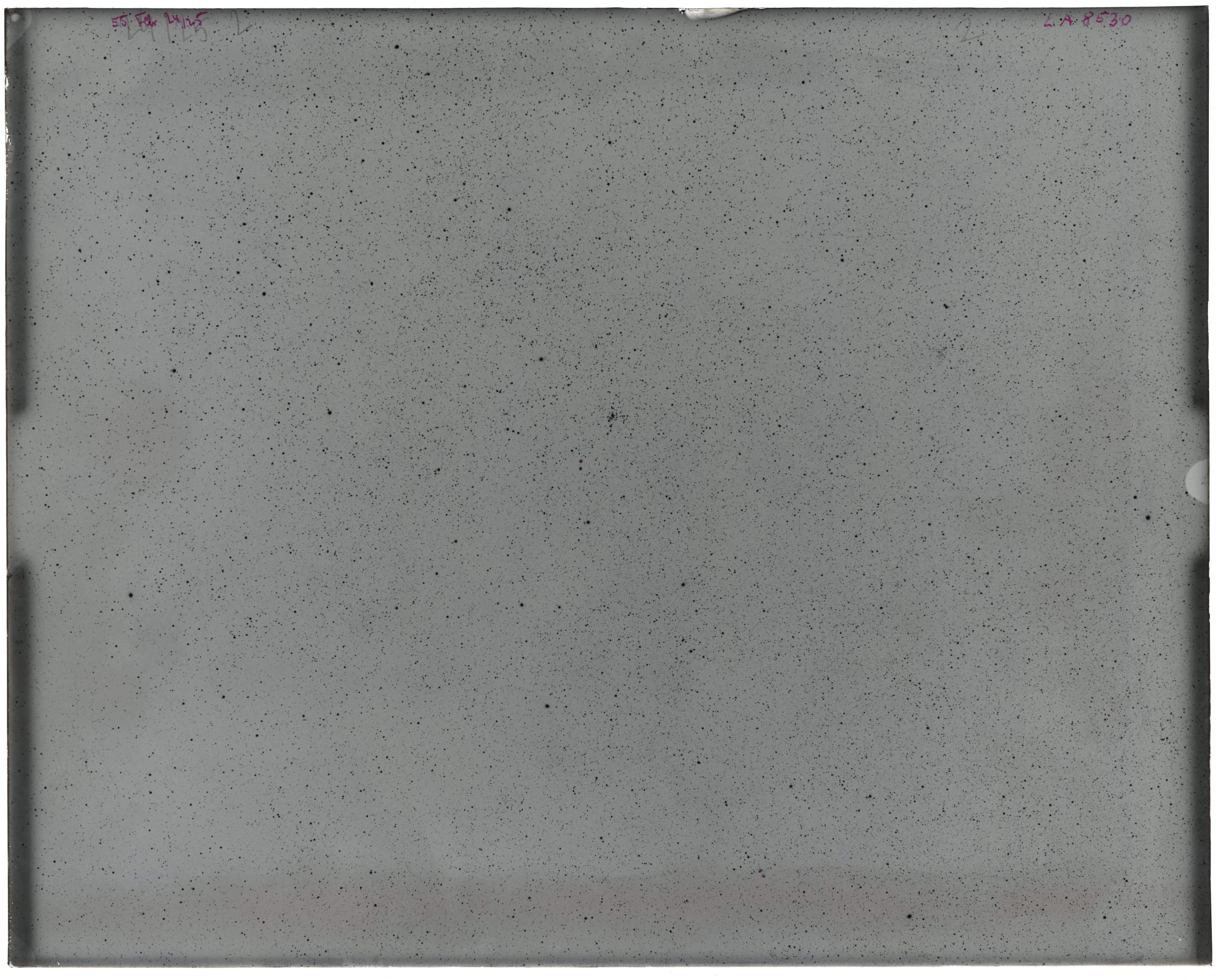 Scan LA08530