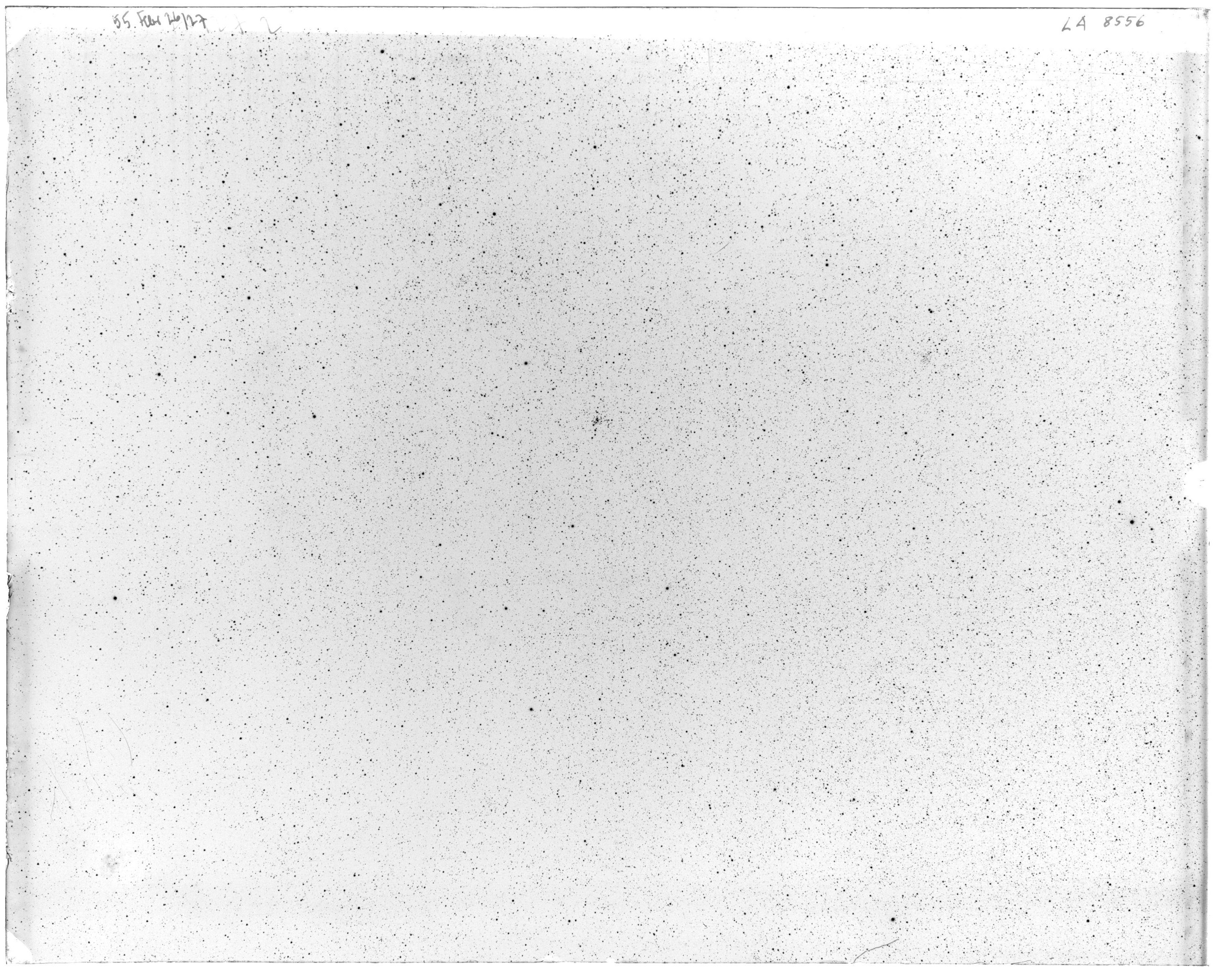 Scan LA08556