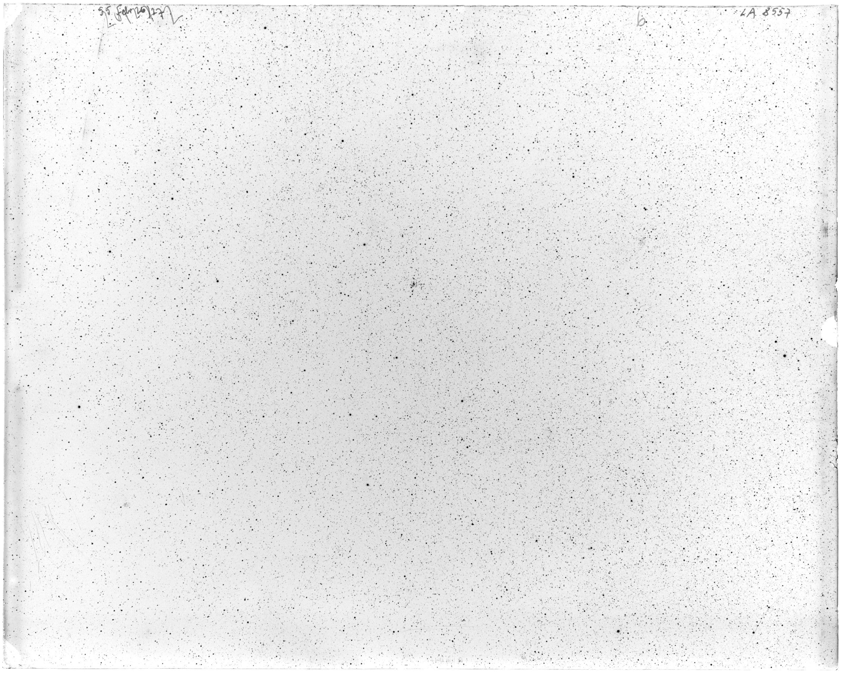 Scan LA08557