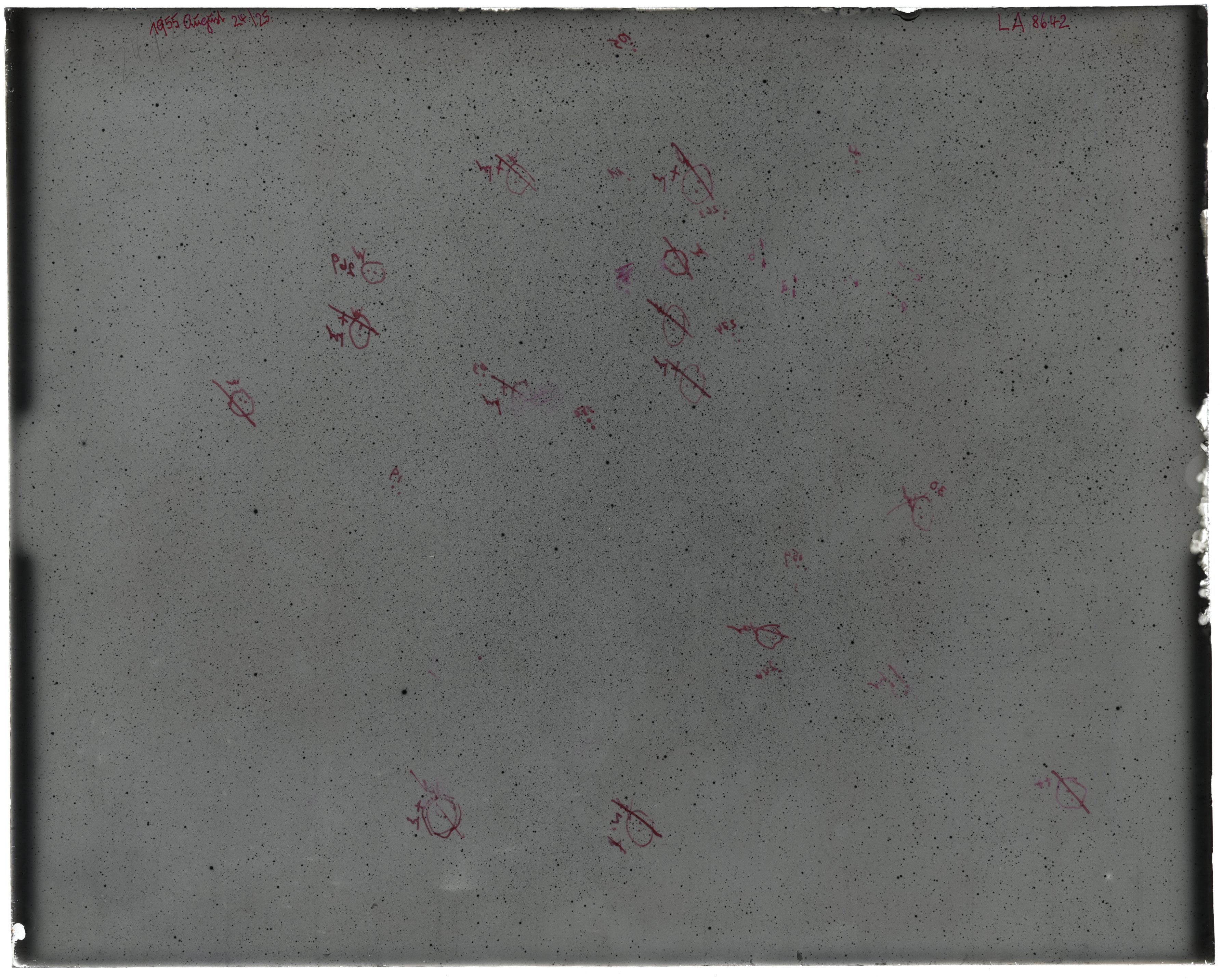 Scan LA08642