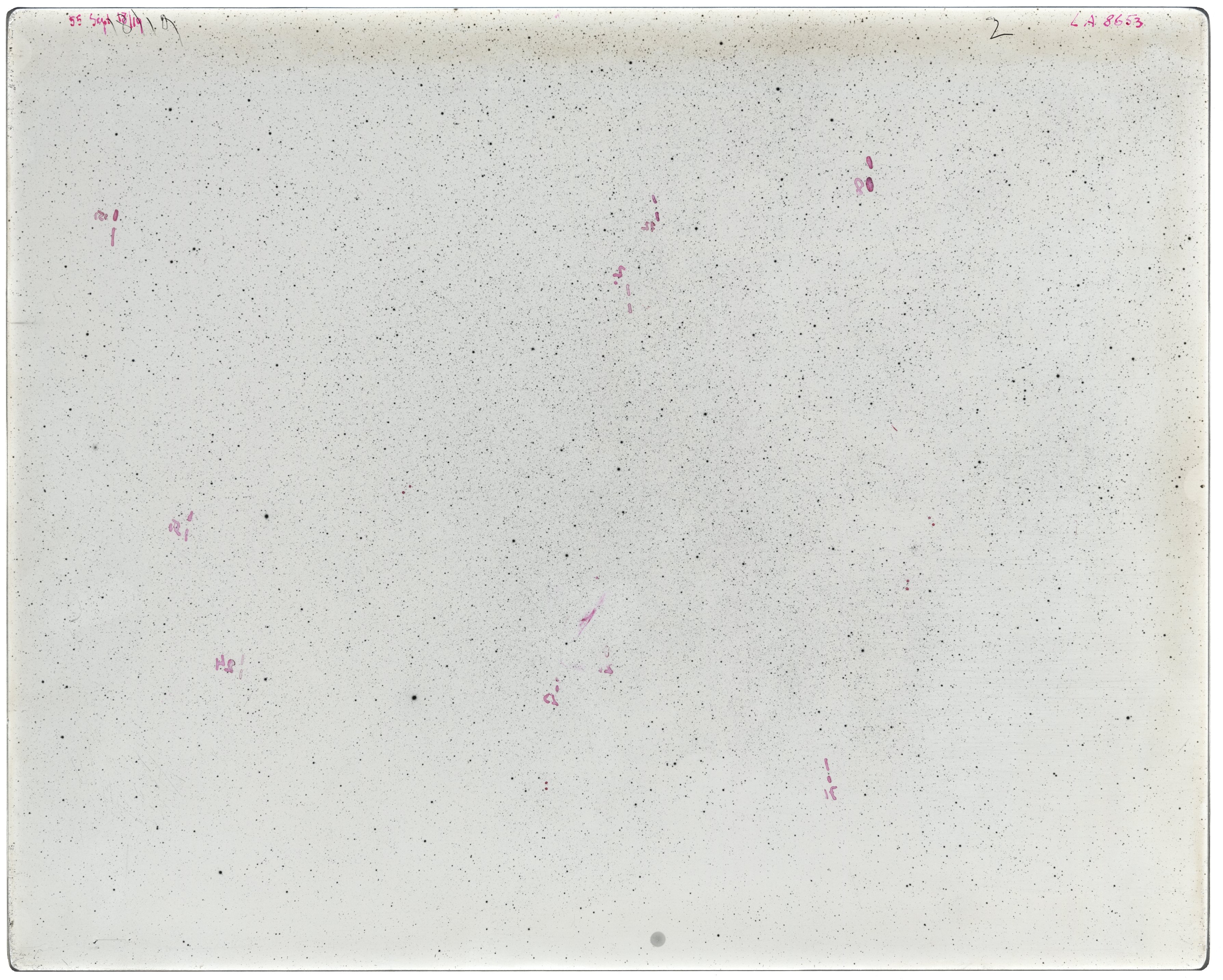 Scan LA08653