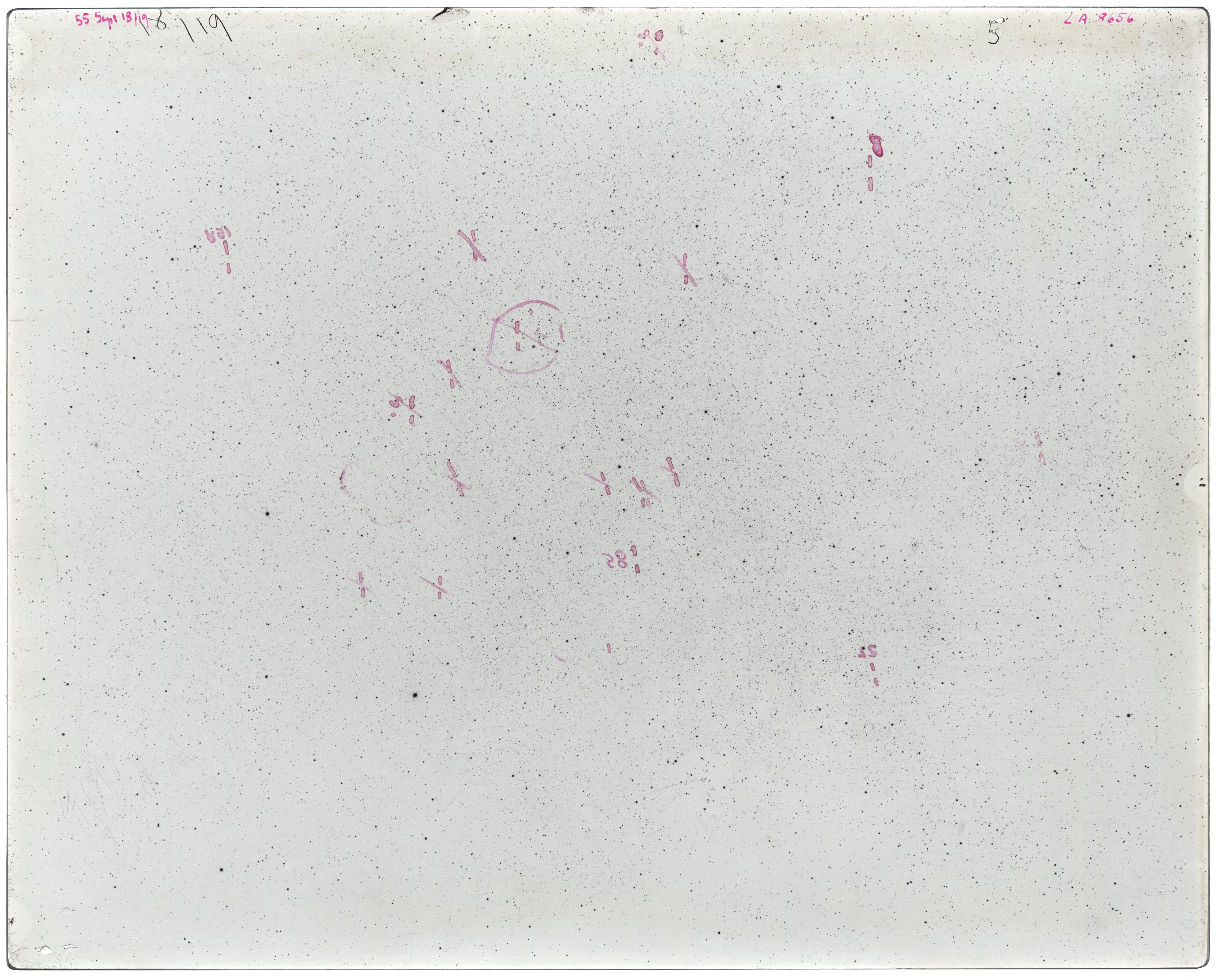 Scan LA08656