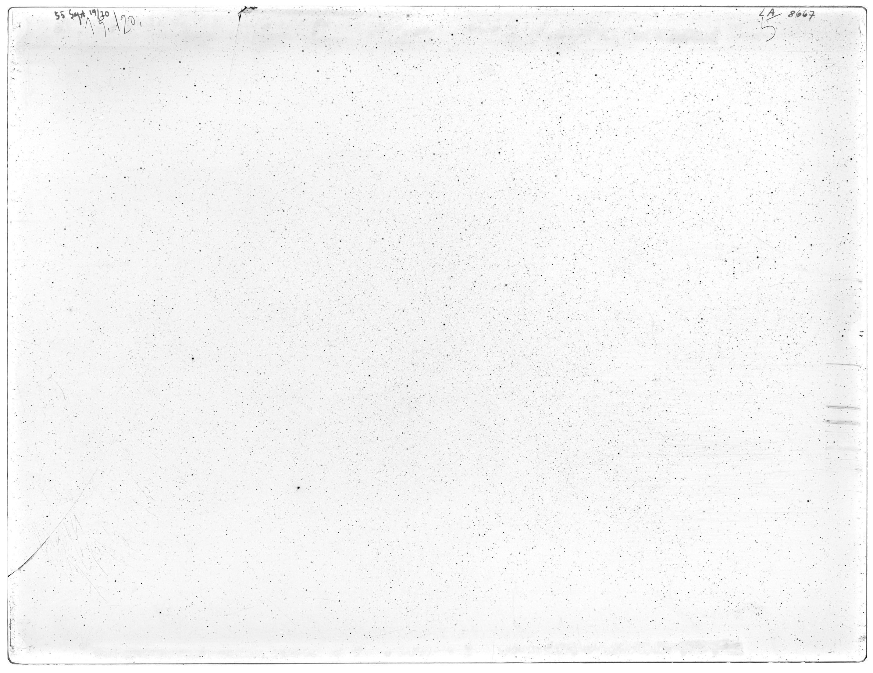 Scan LA08667