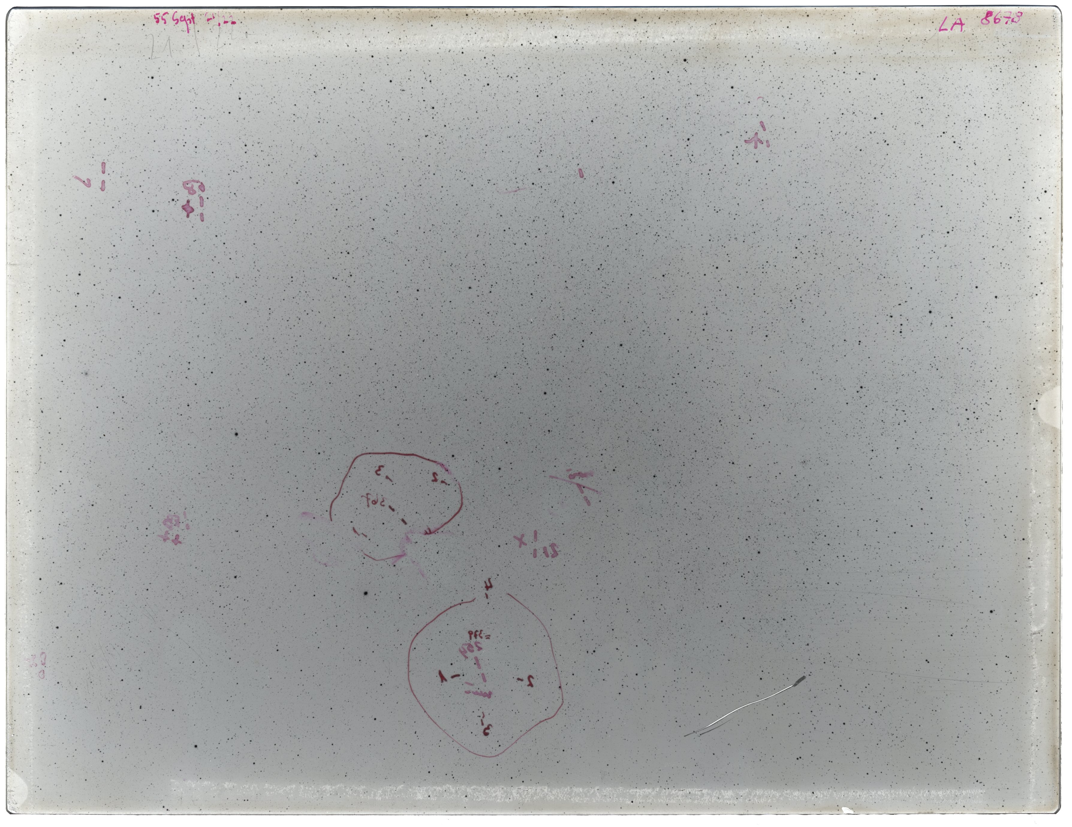 Scan LA08678