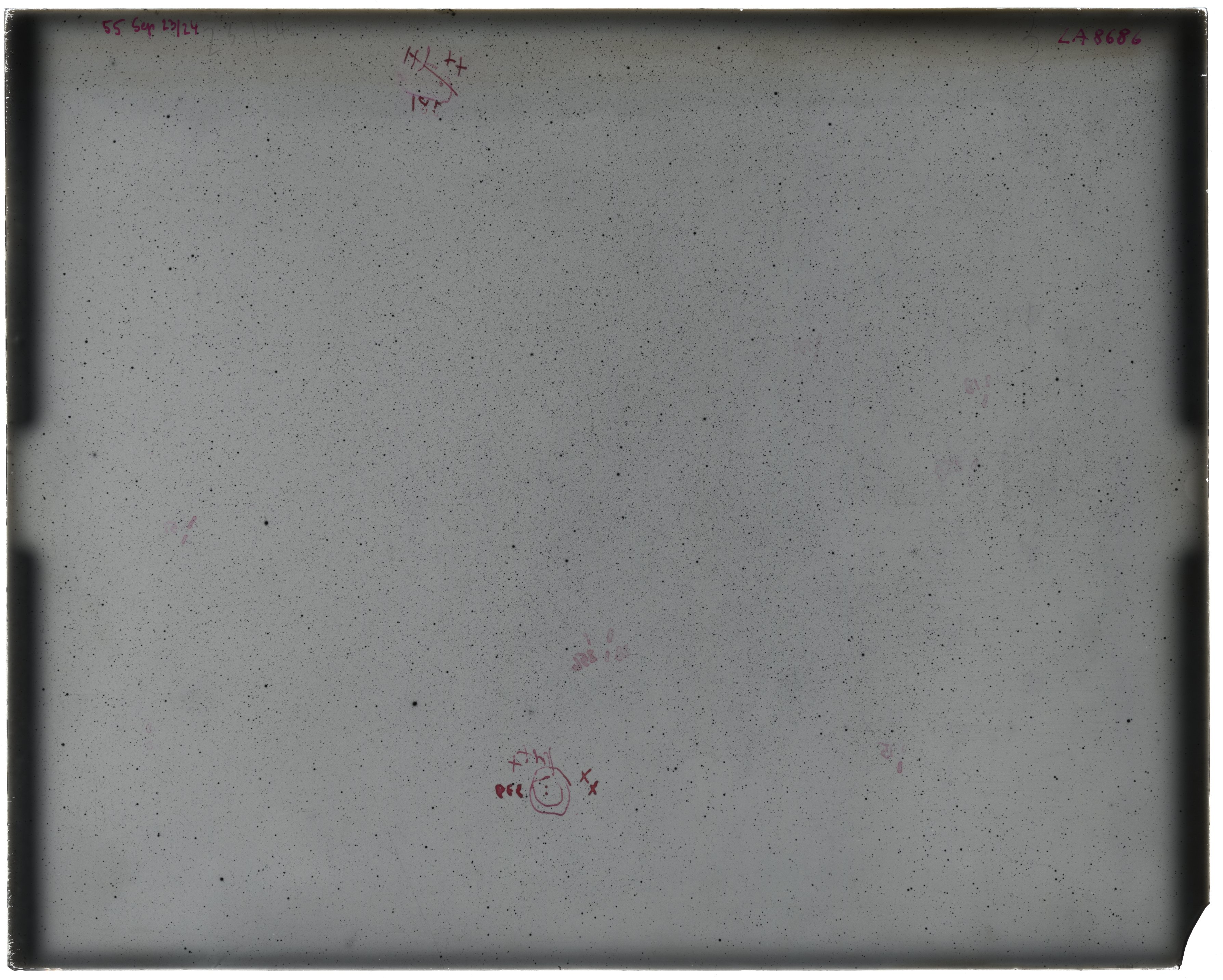 Scan LA08686