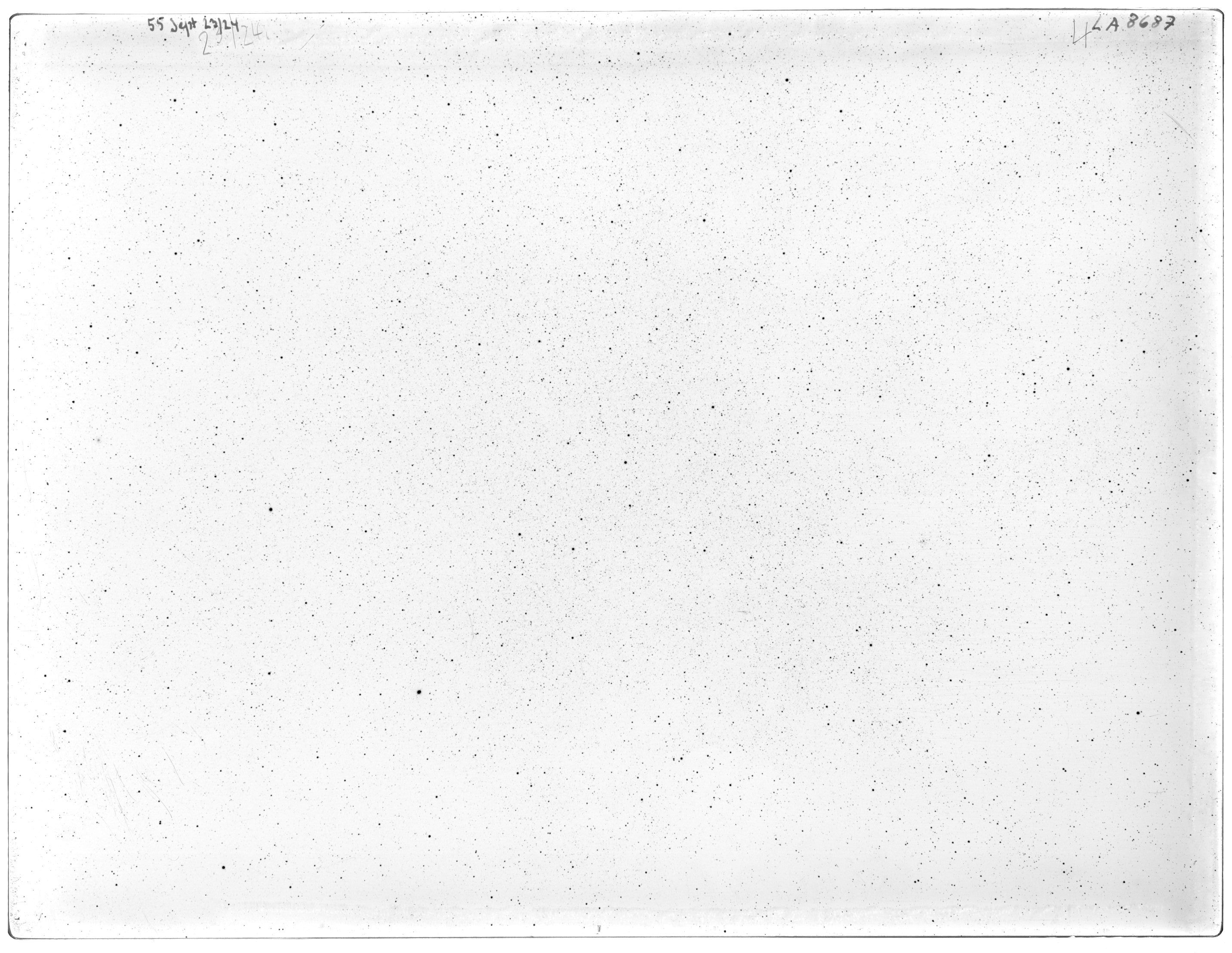 Scan LA08687