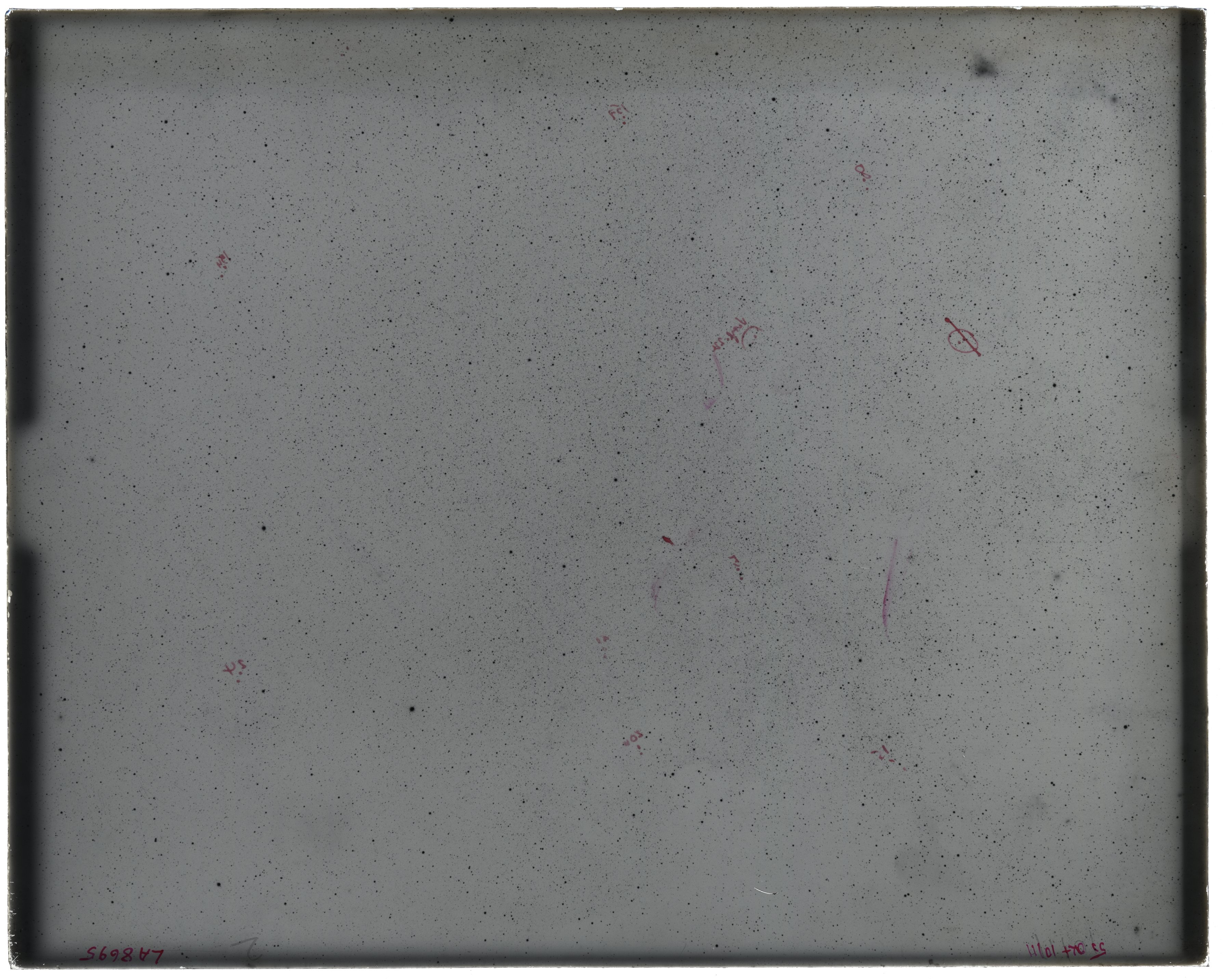 Scan LA08695