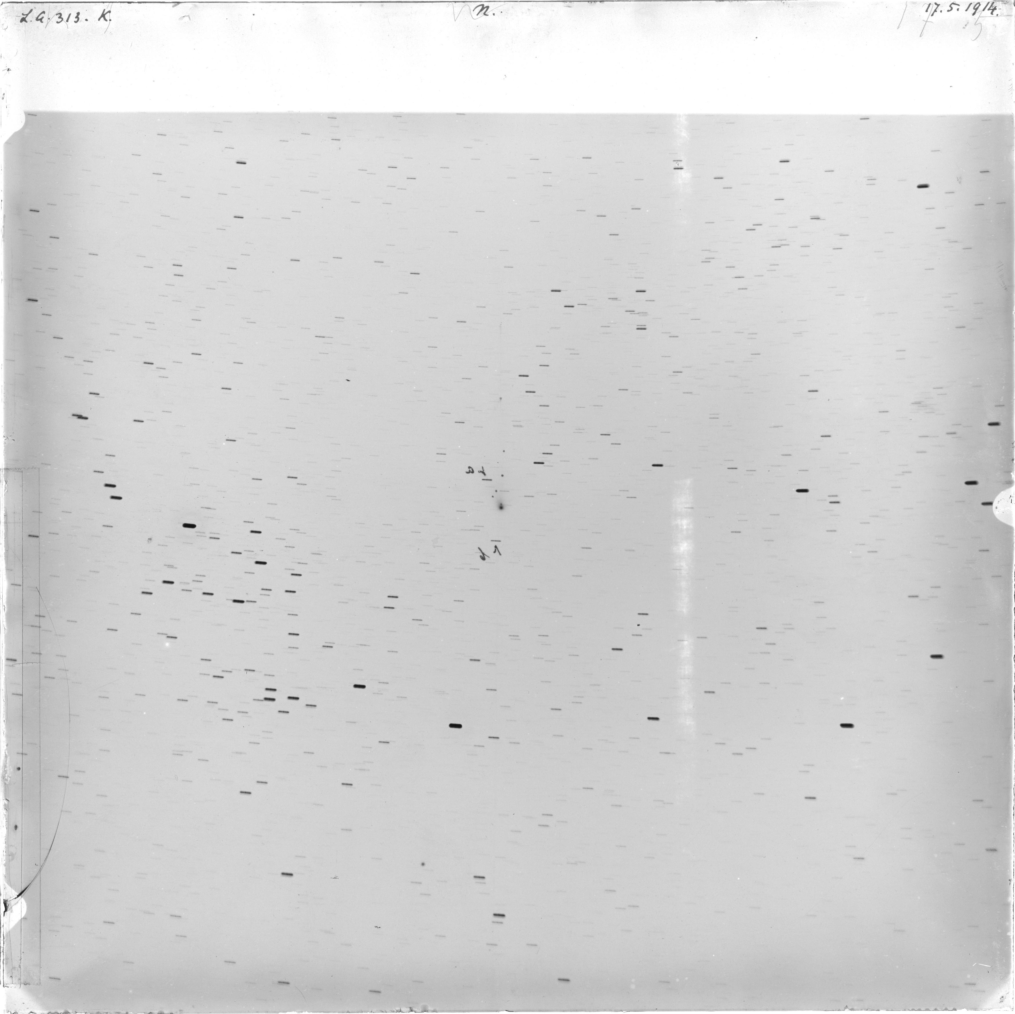 Scan LA00313