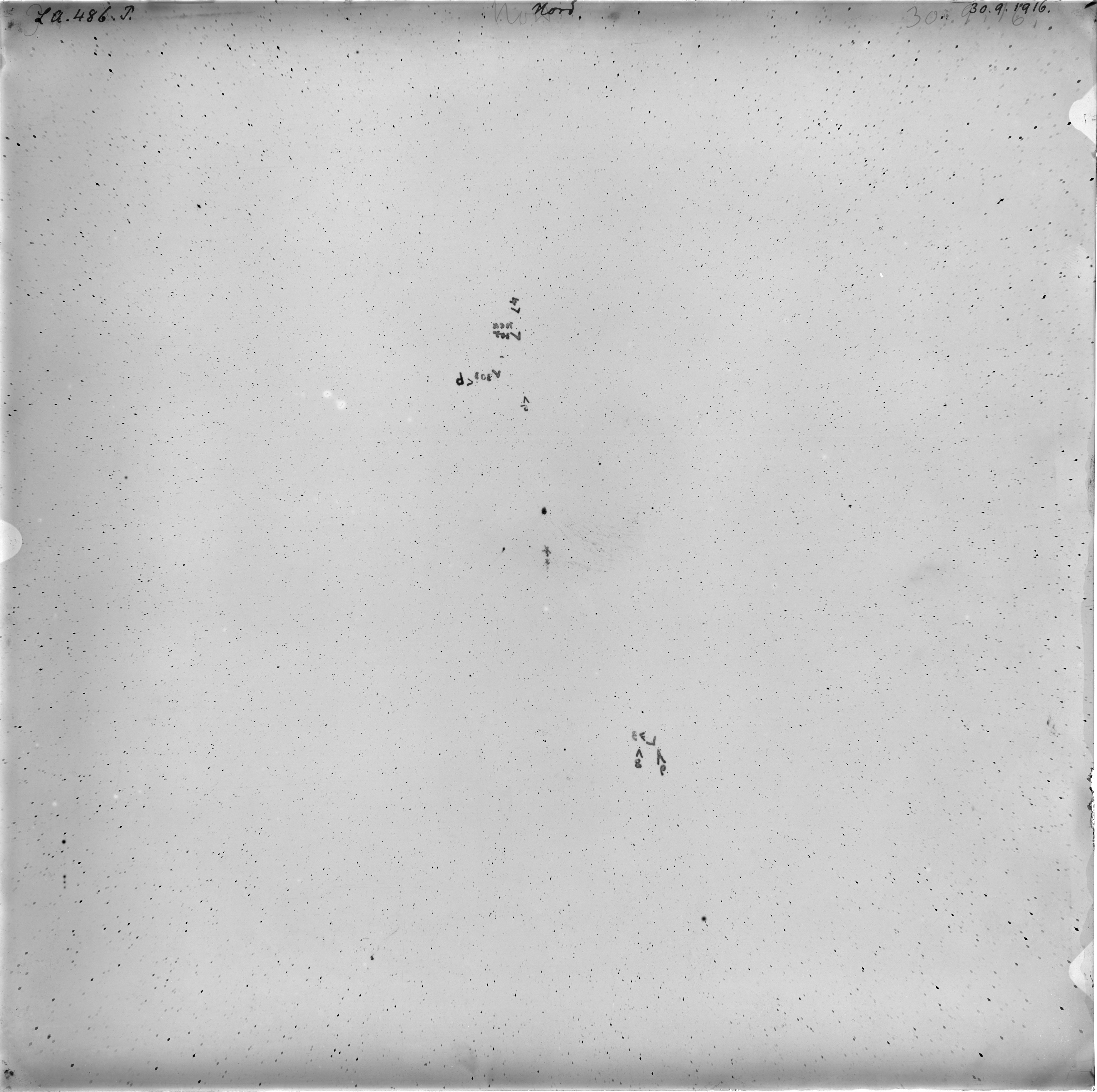 Scan LA00486