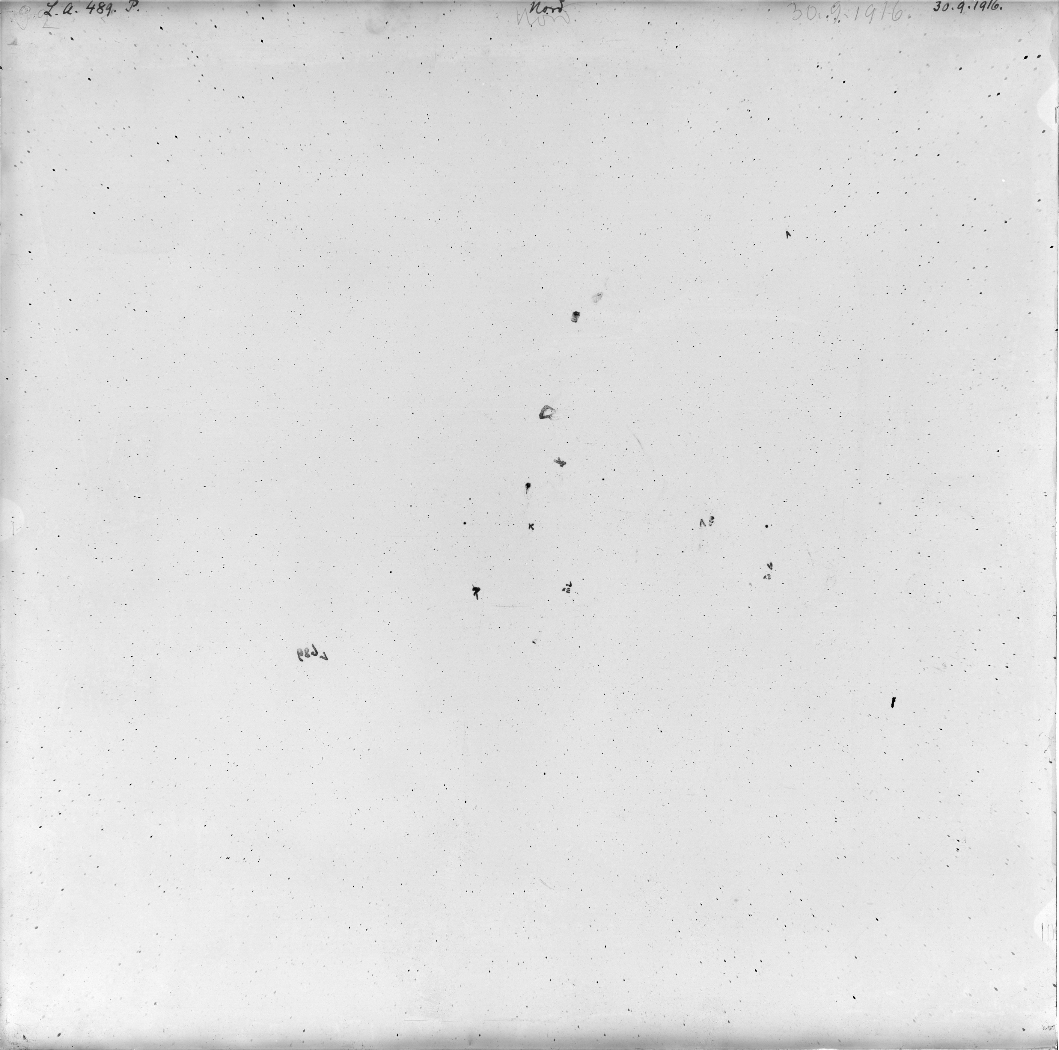 Scan LA00489