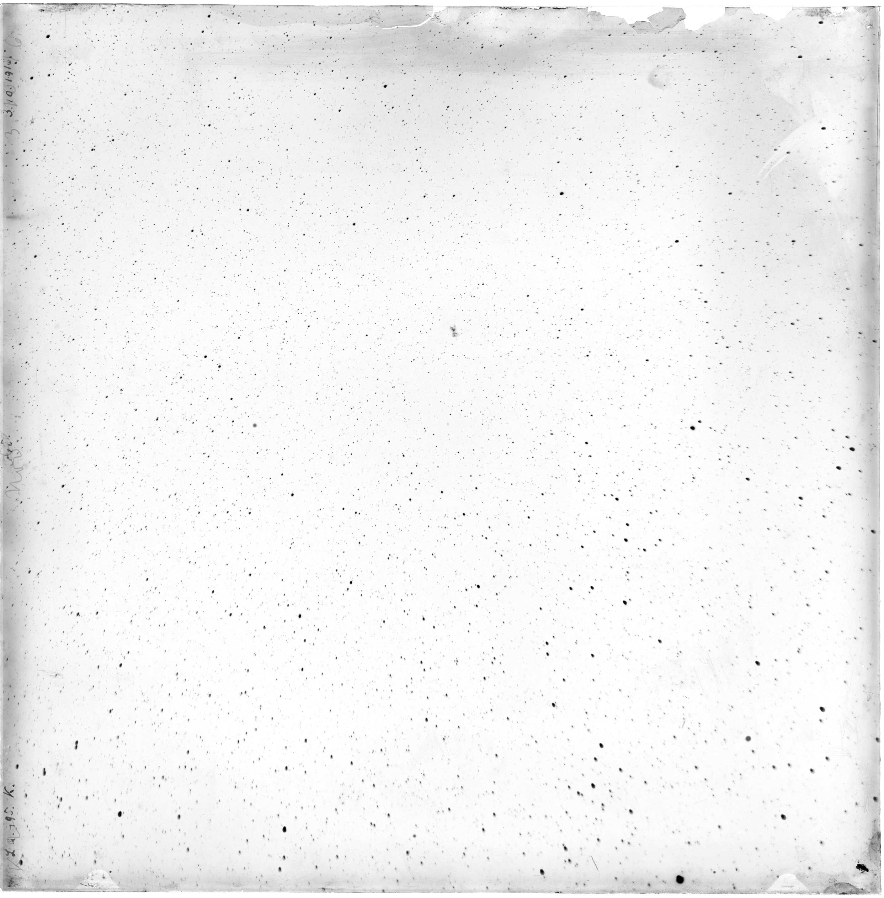 Scan LA00495