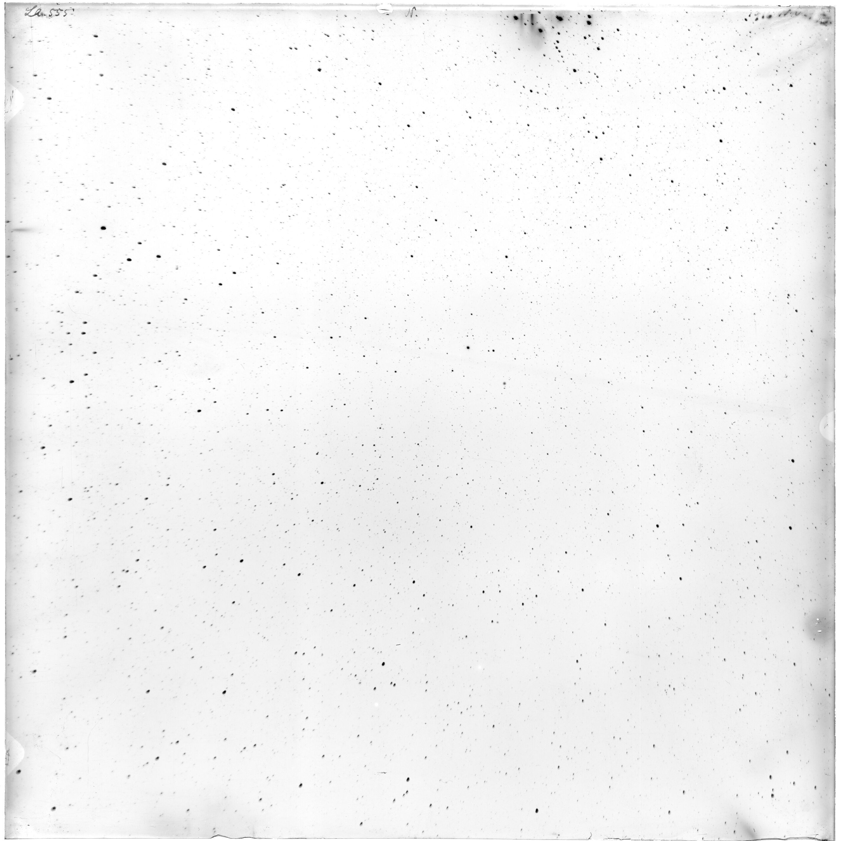 Scan LA00555