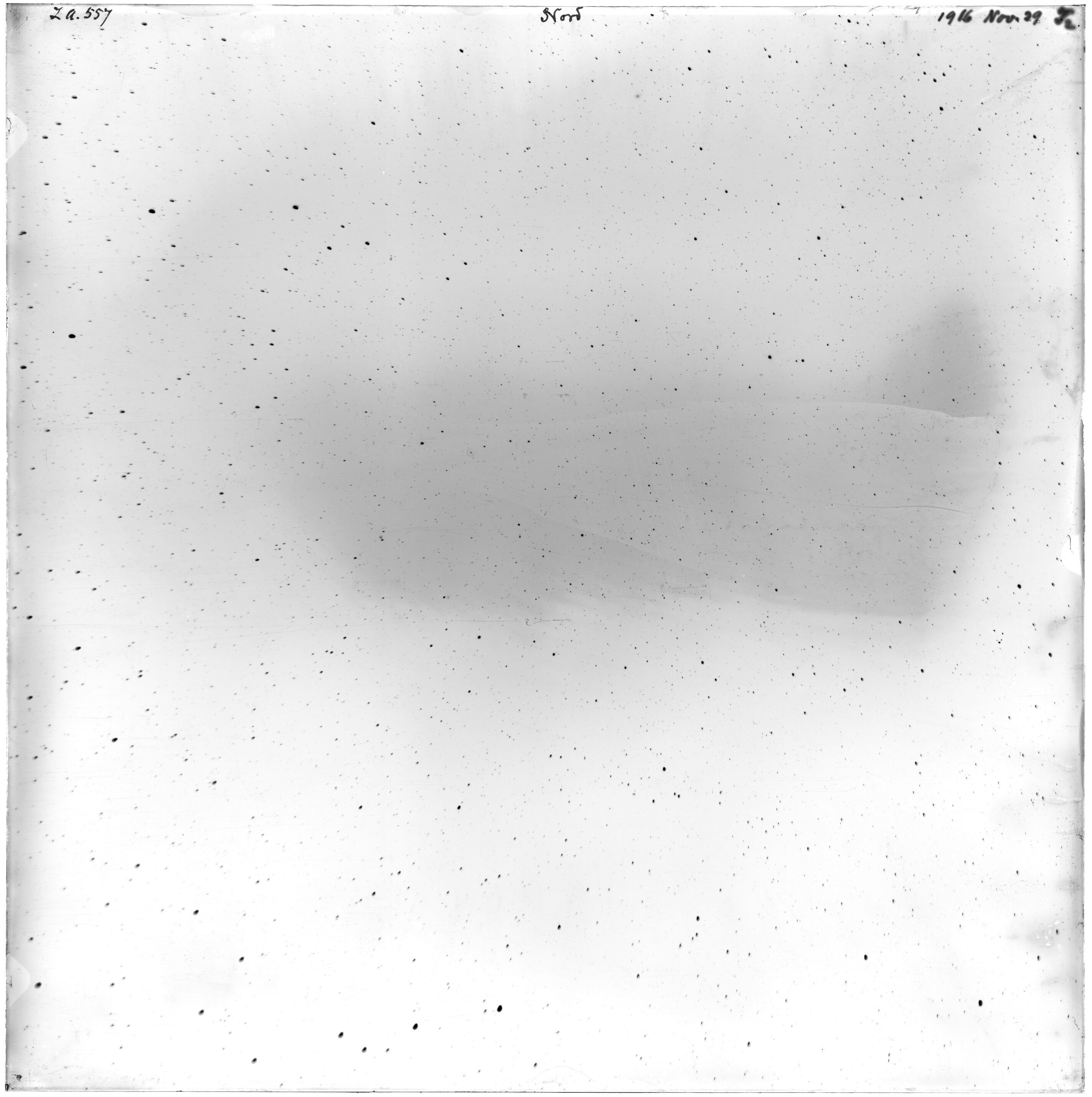 Scan LA00557