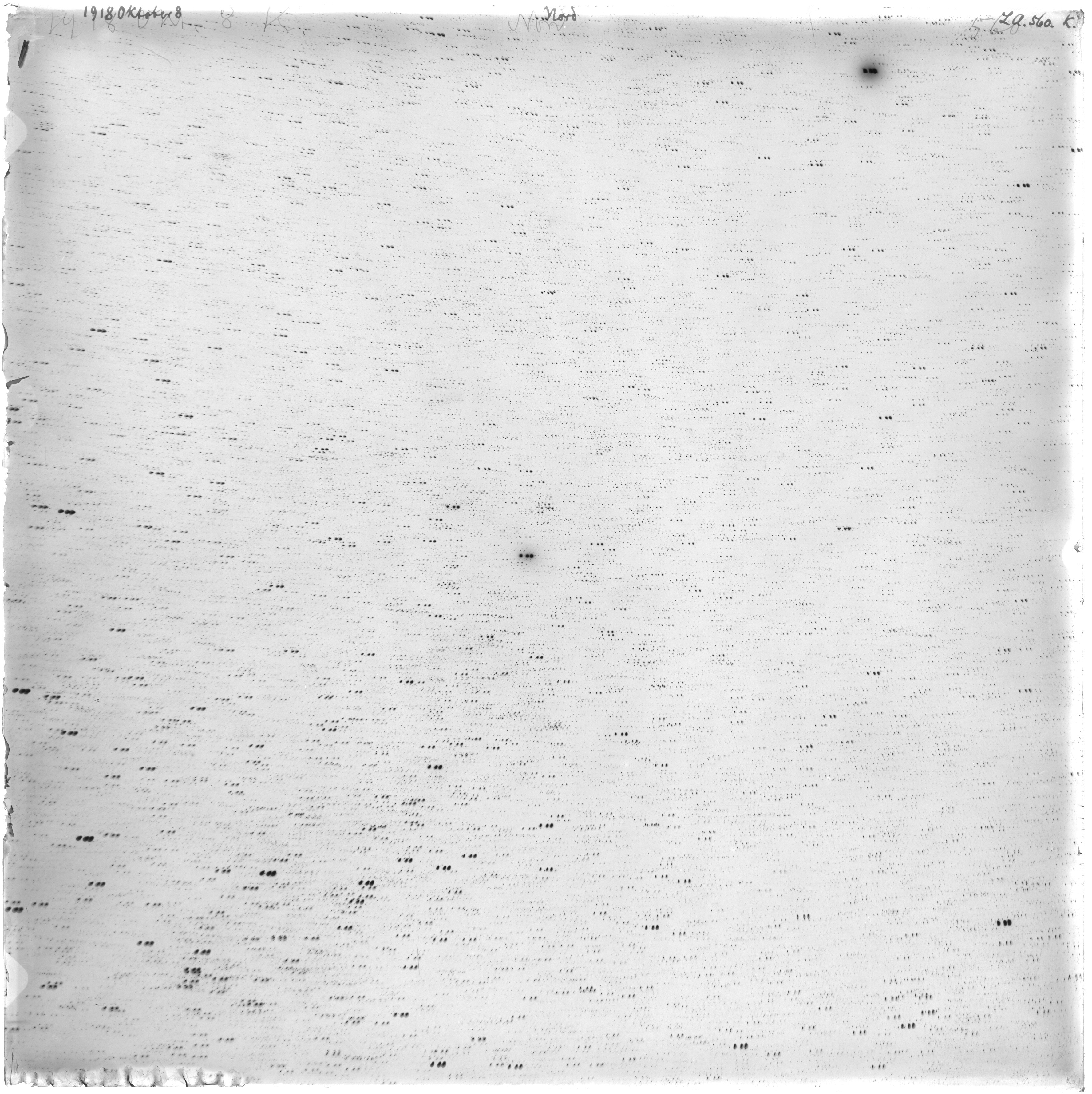 Scan LA00560