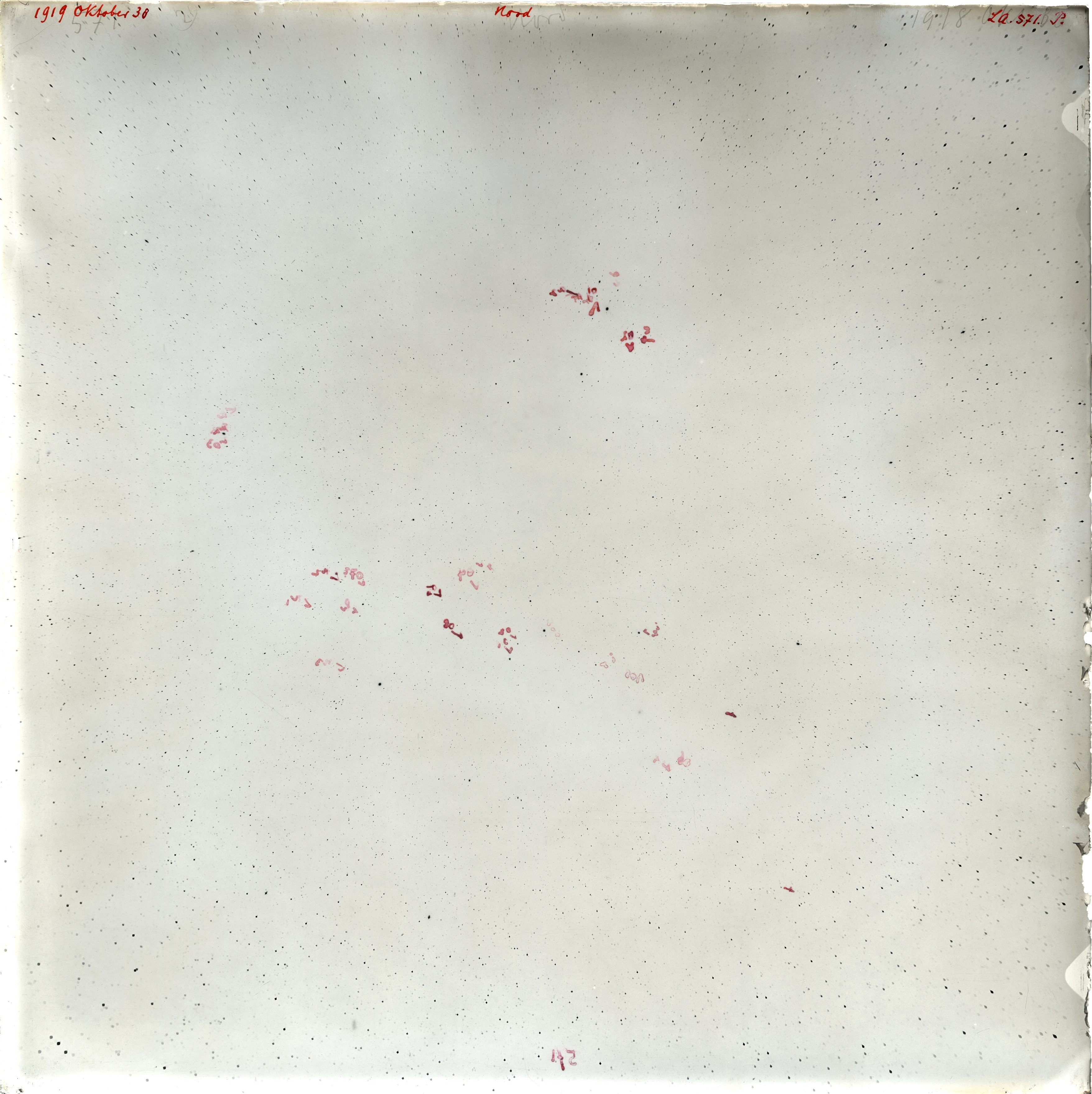 Scan LA00571