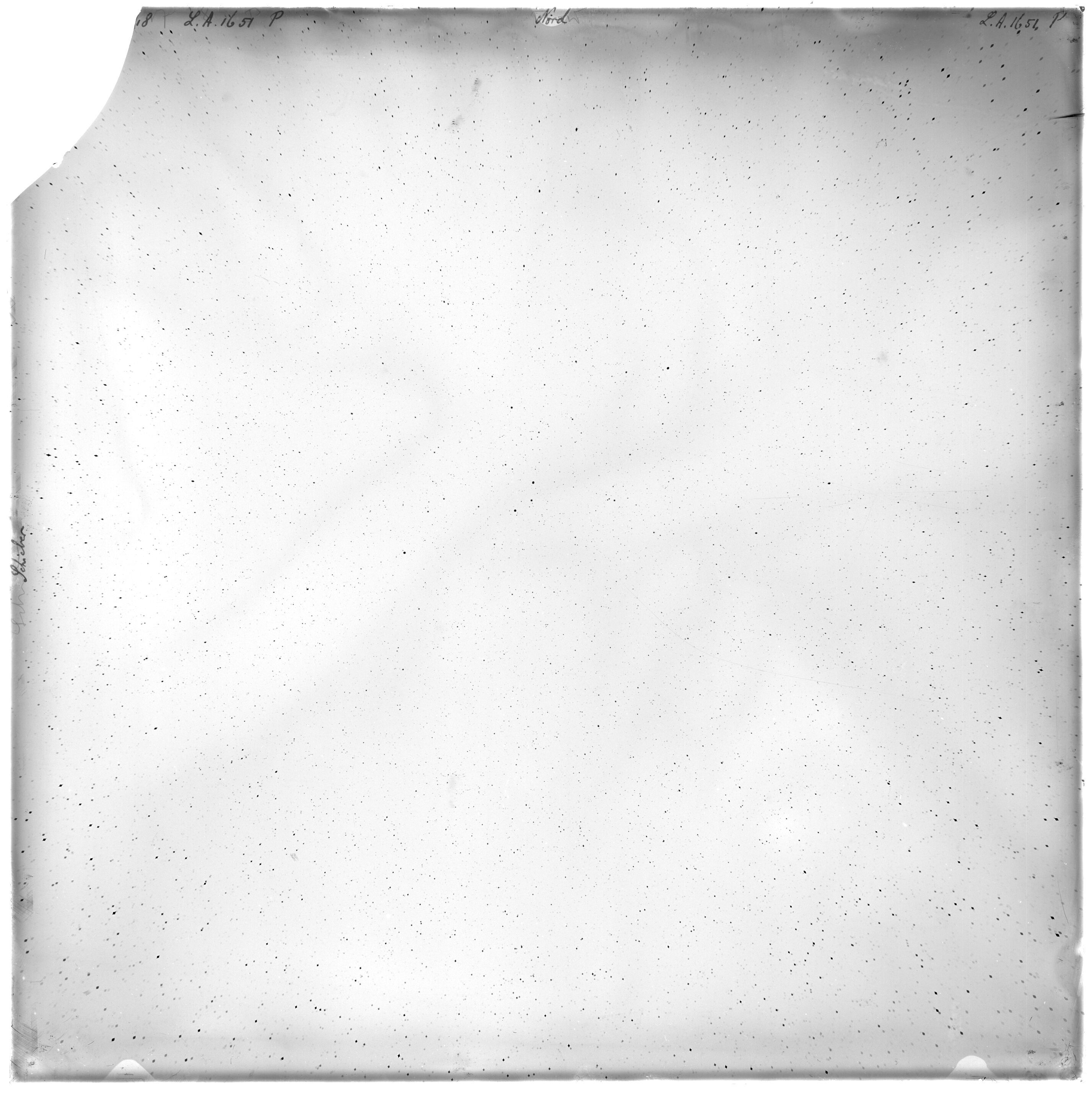 Scan LA01651