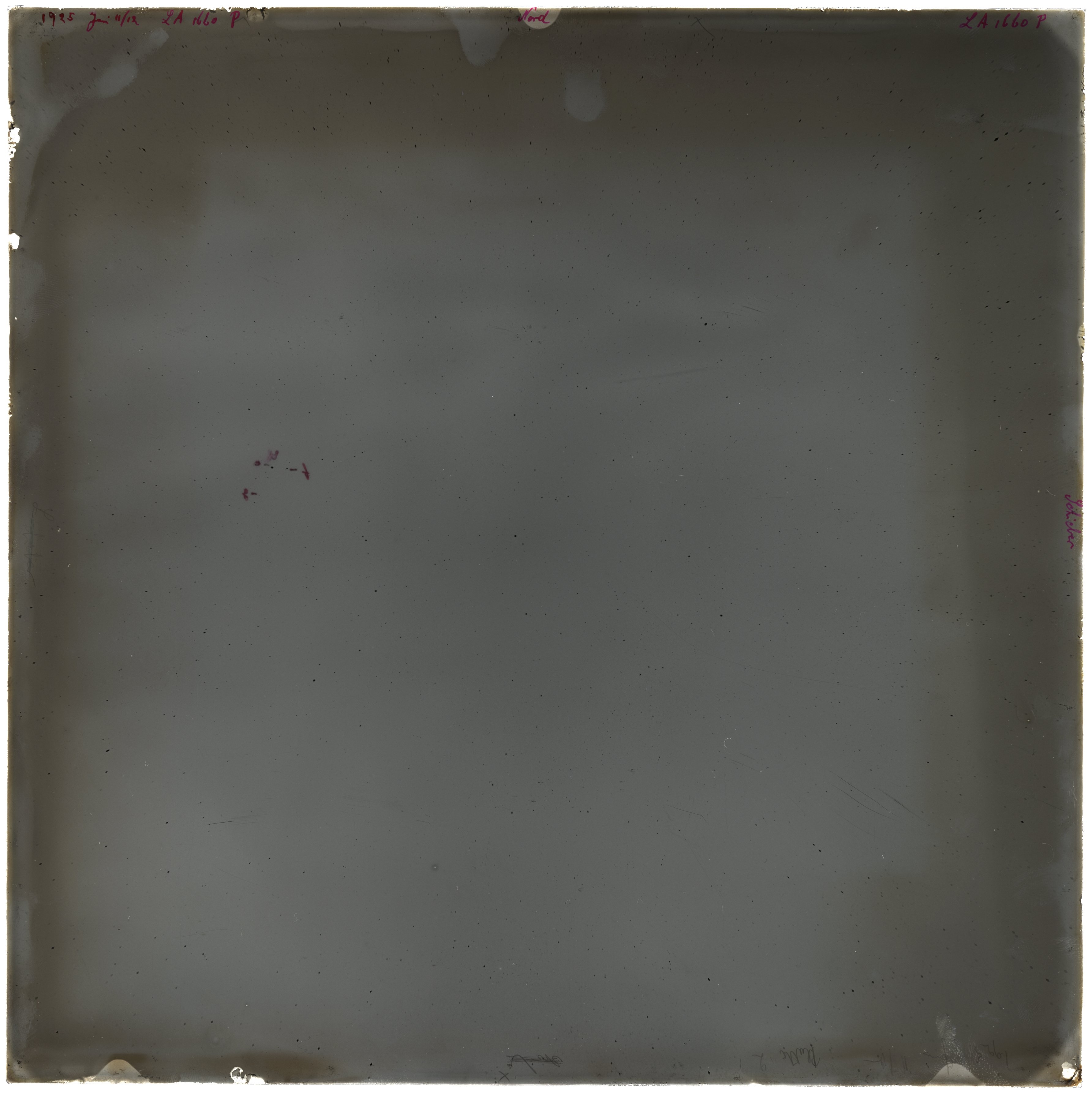 Scan LA01660