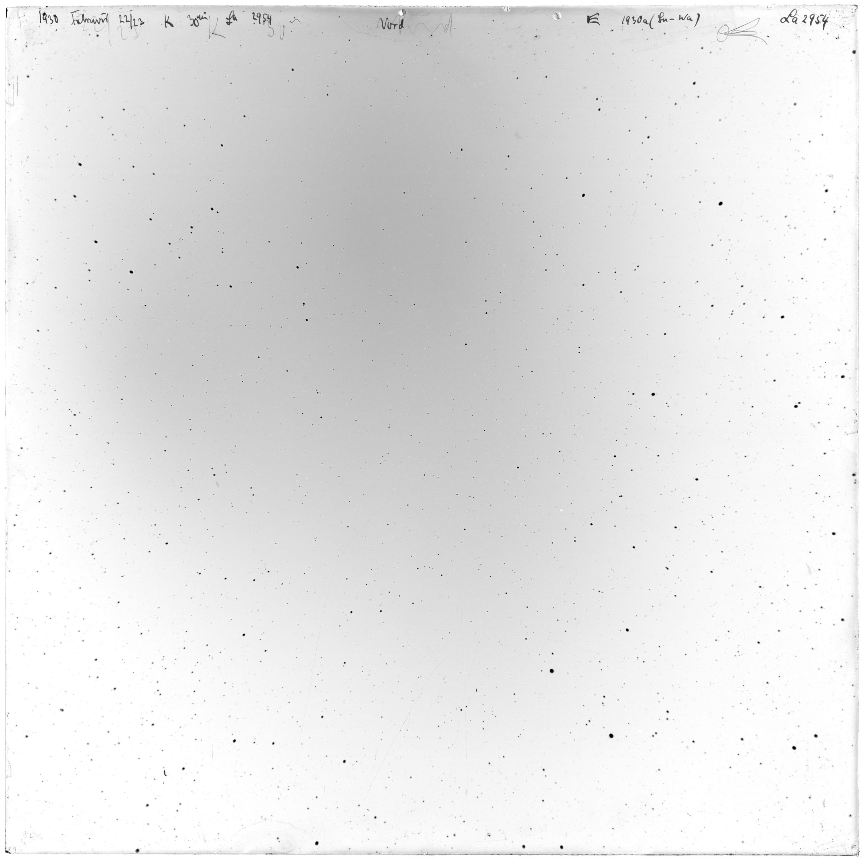 Scan LA02954