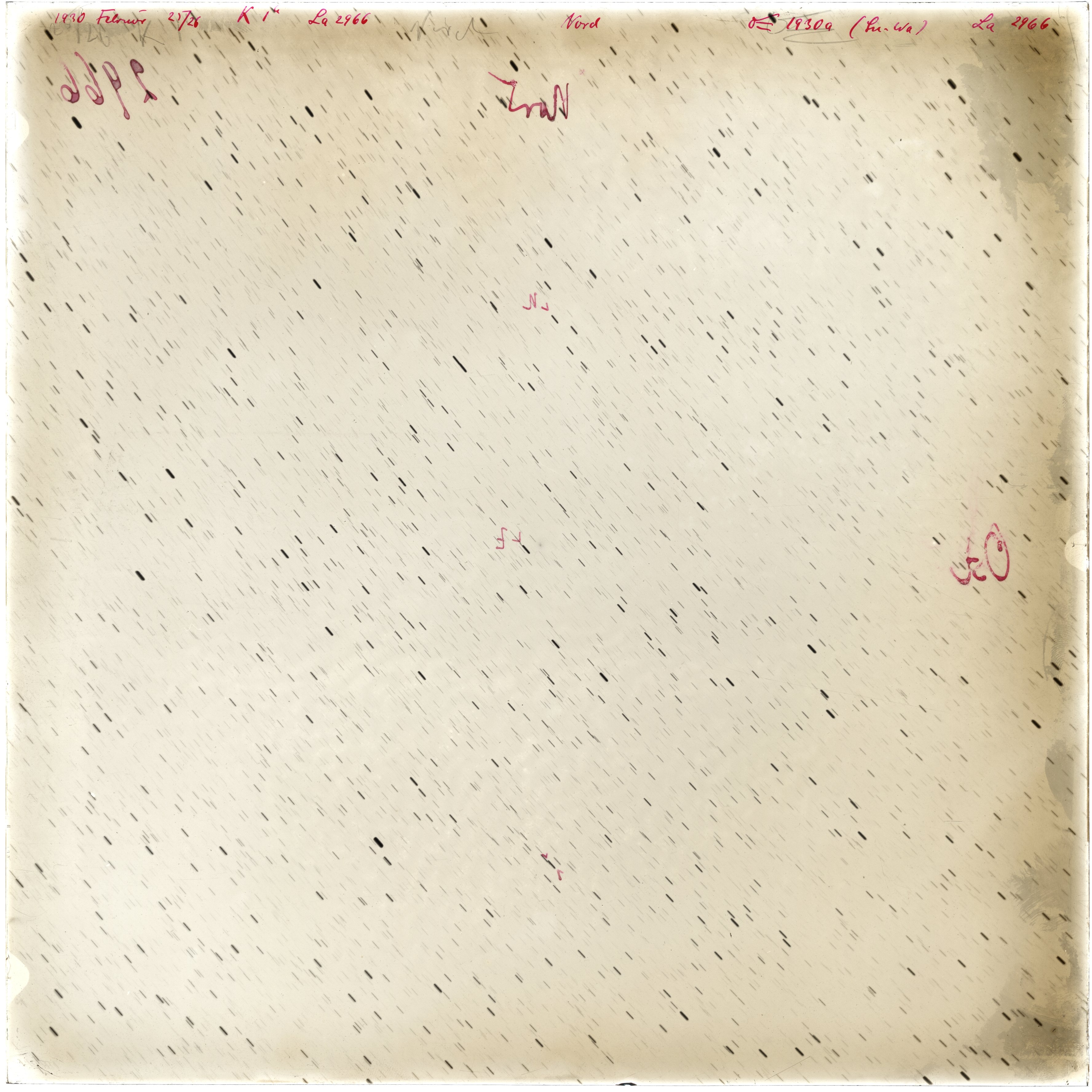 Scan LA02966