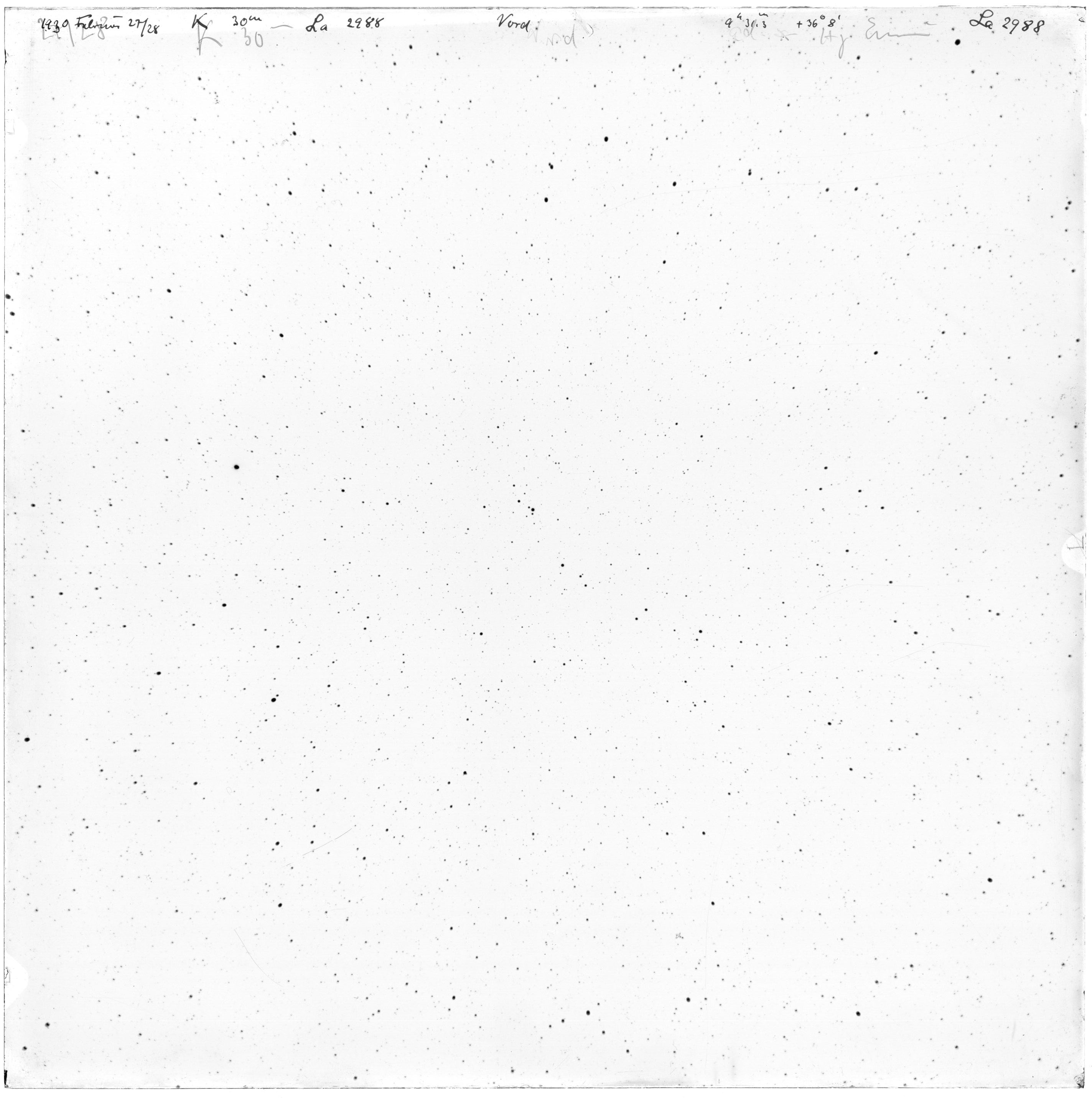 Scan LA02988