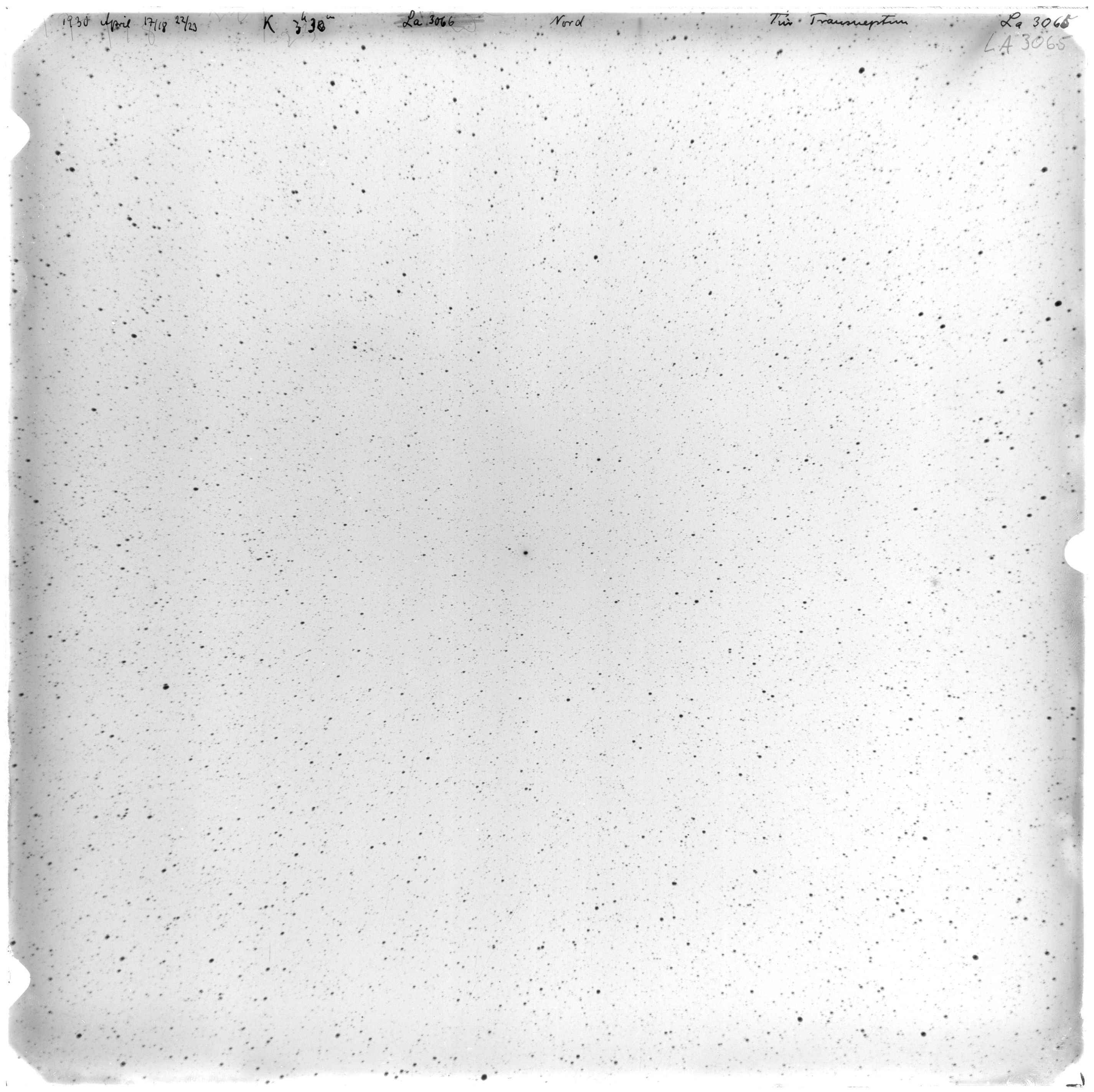 Scan LA03065