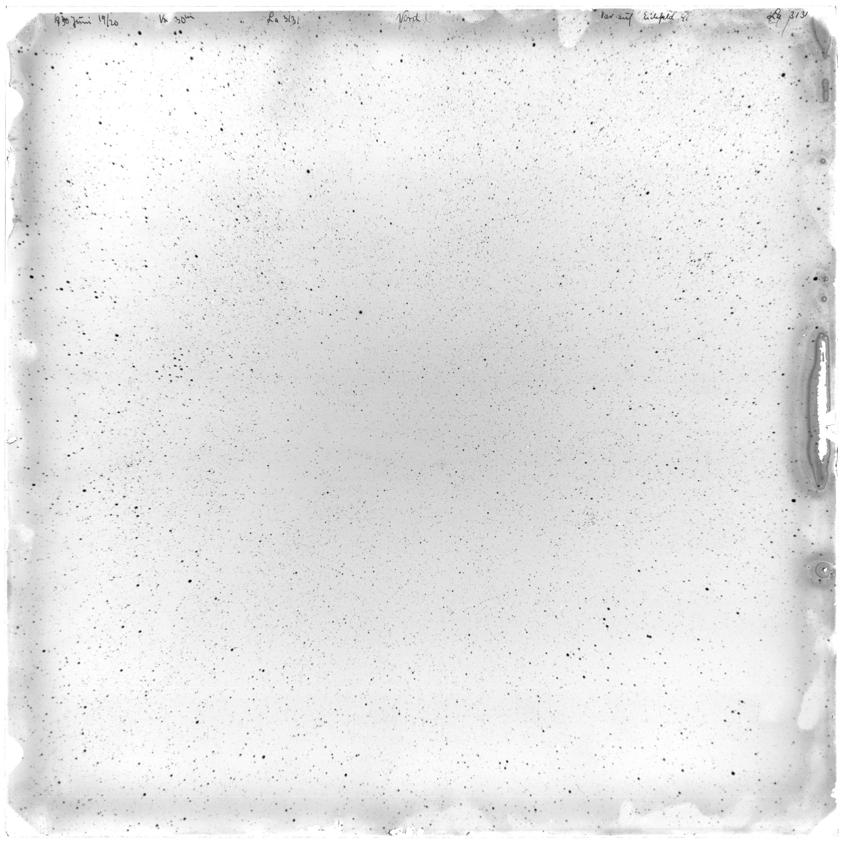 Scan LA03131