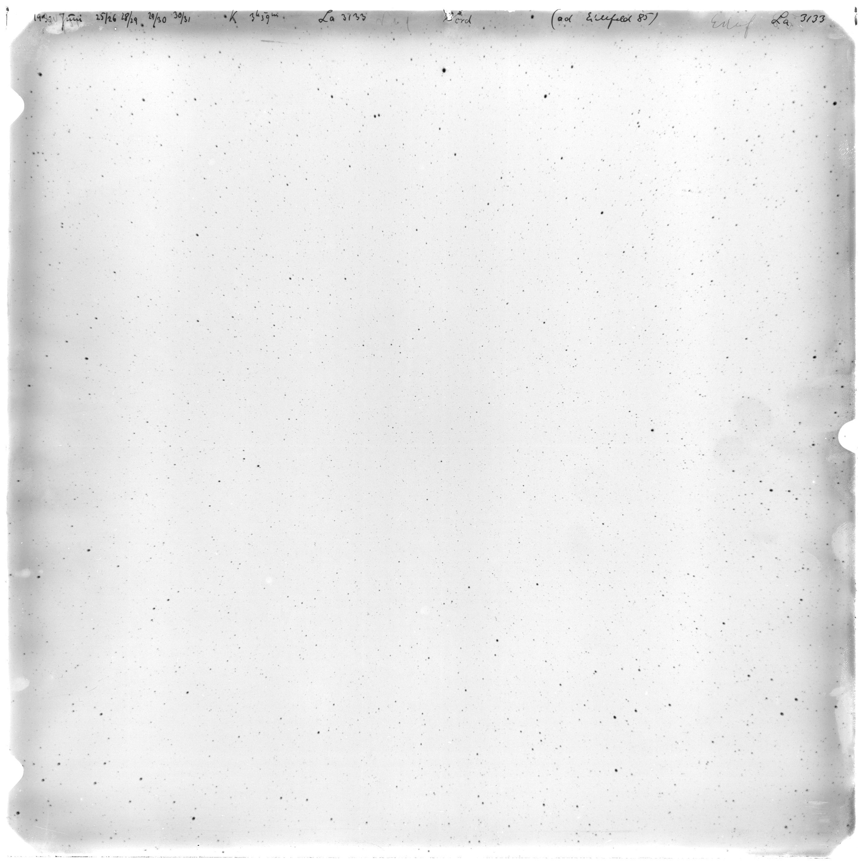 Scan LA03133