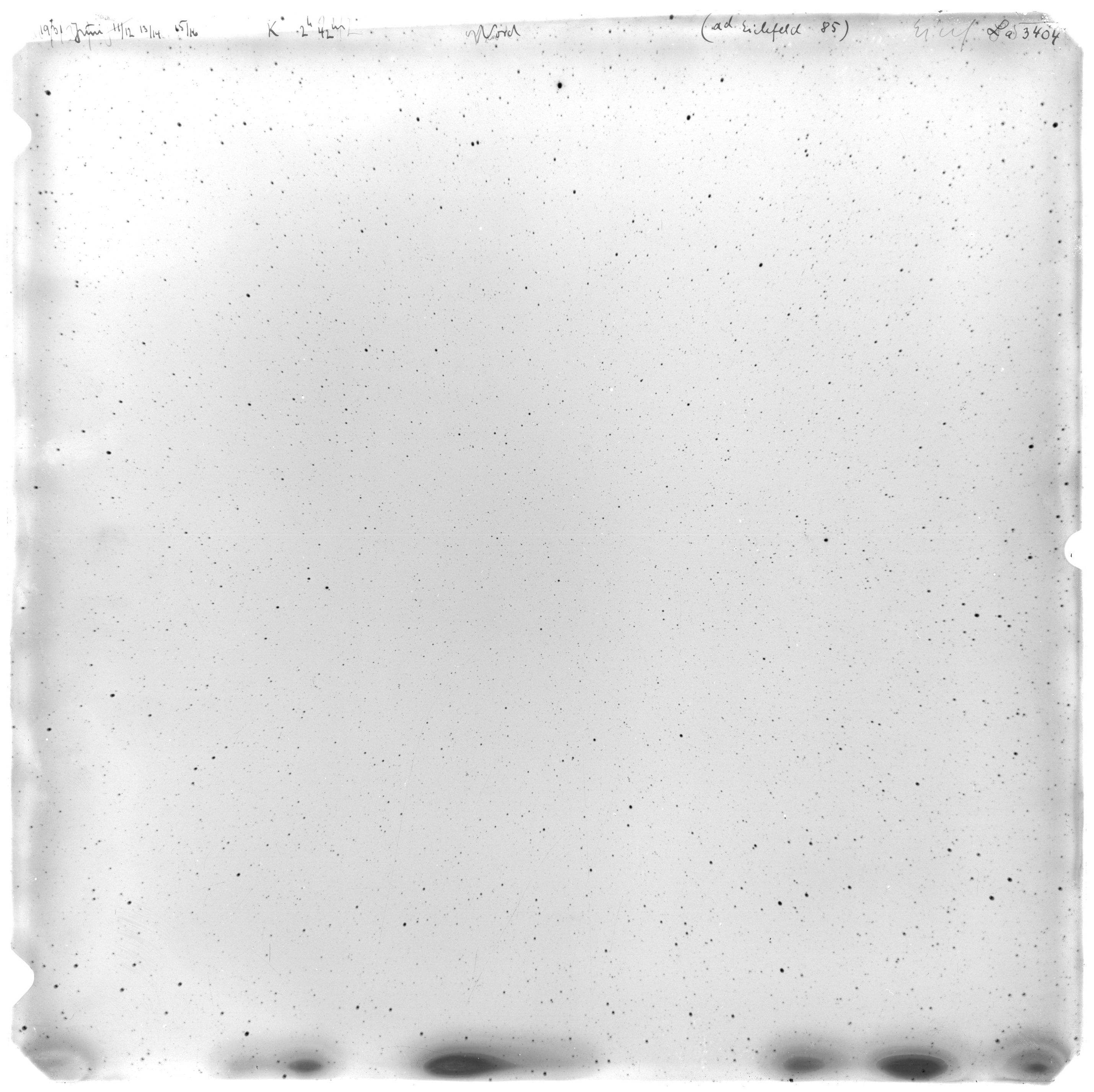 Scan LA03404