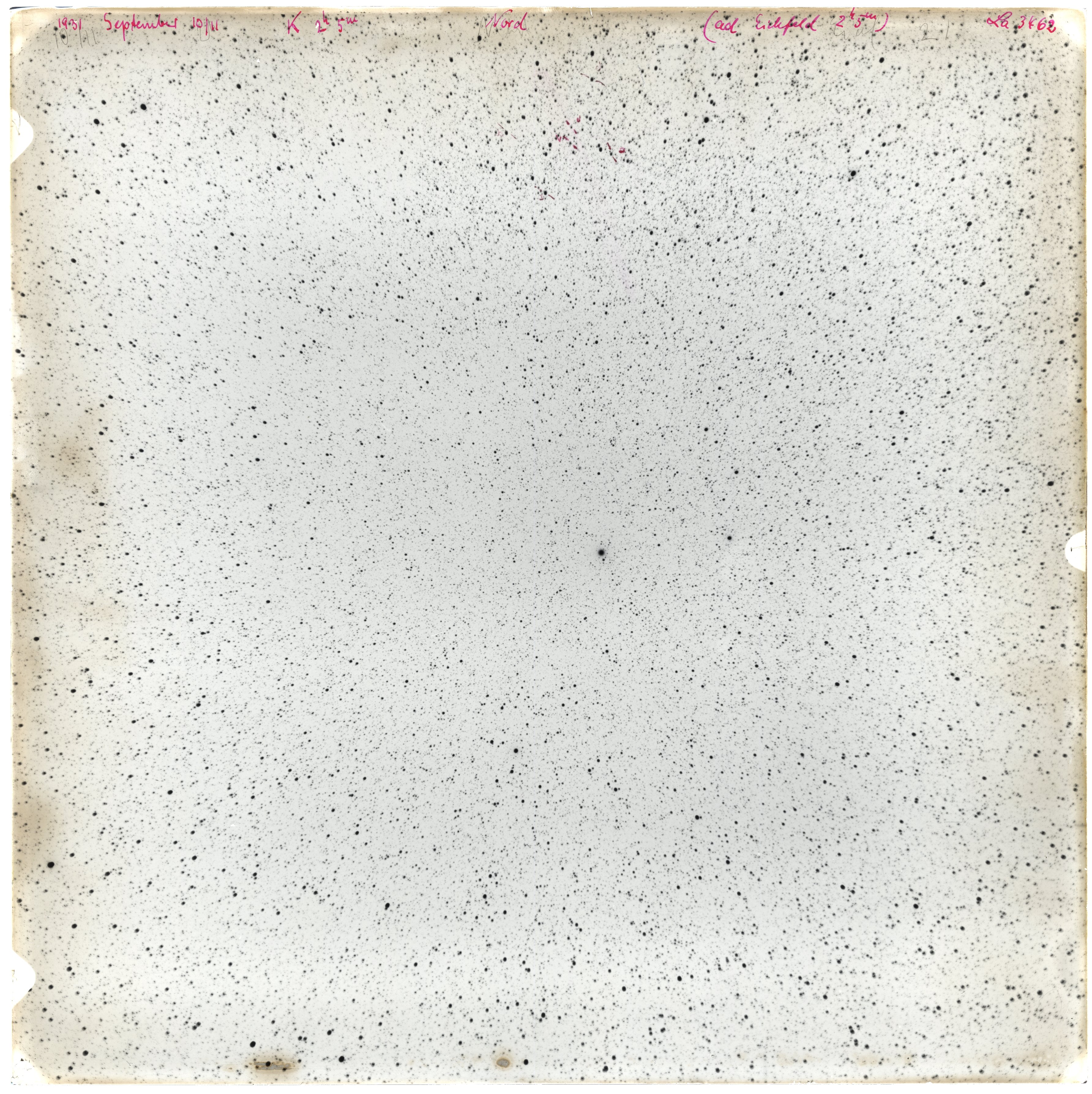 Scan LA03462