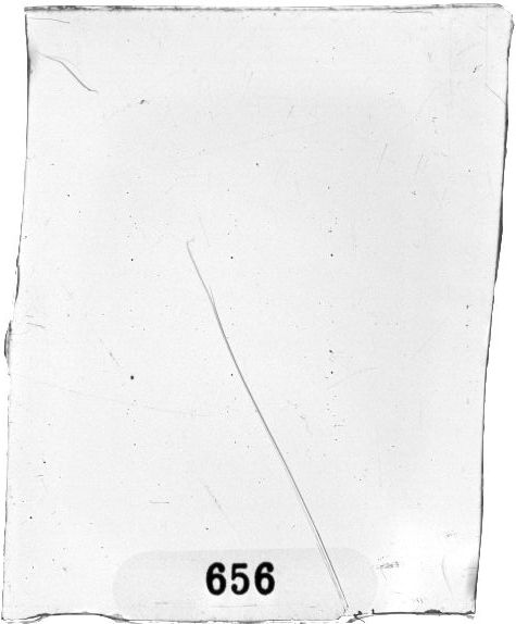 Scan PZT0656