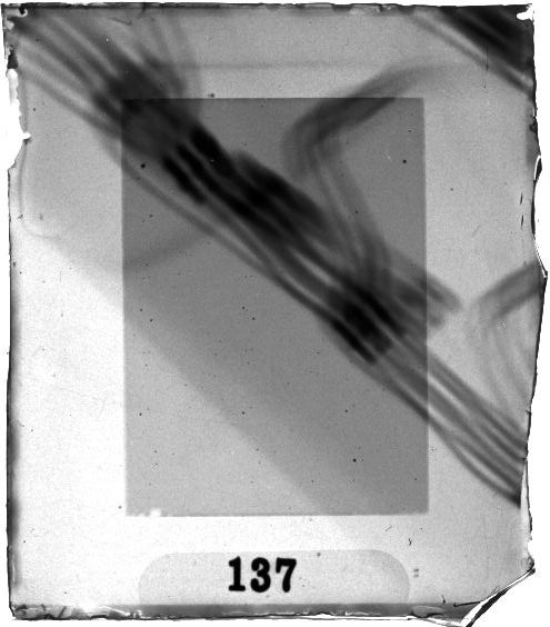 Scan PZT1137