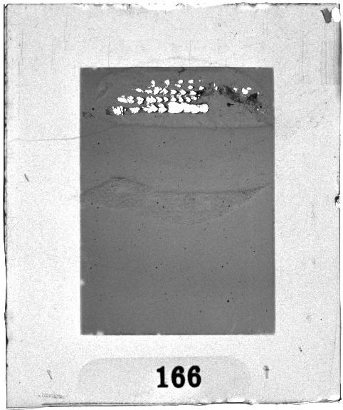 Scan PZT1166