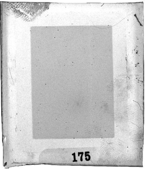 Scan PZT1175