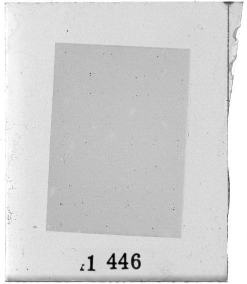 Scan PZT1446