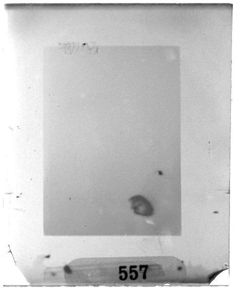 Scan PZT1557