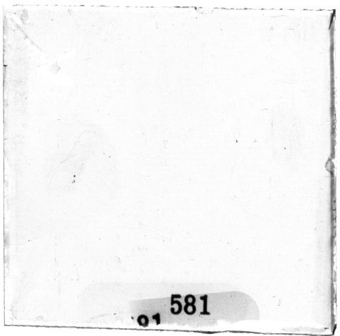 Scan PZT1581