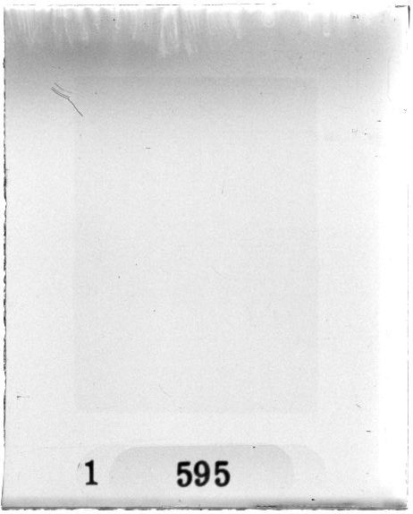 Scan PZT1595