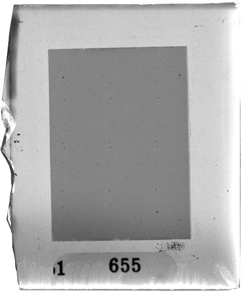 Scan PZT1655