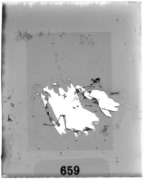 Scan PZT1659