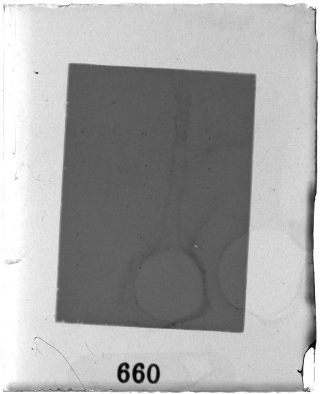 Scan PZT1660