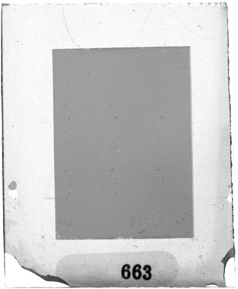 Scan PZT1663