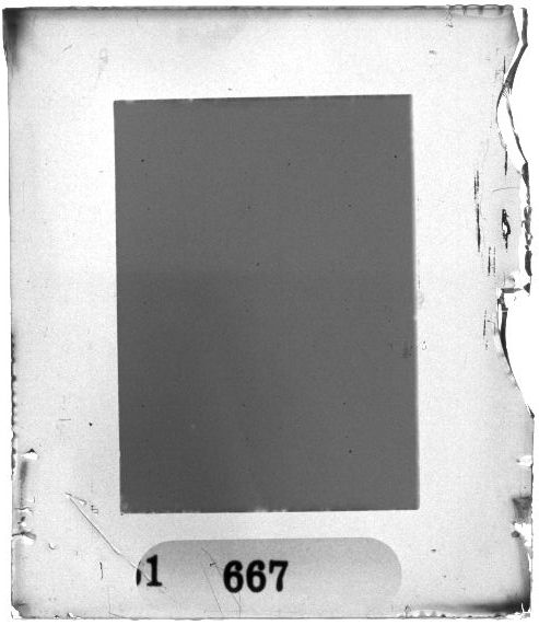 Scan PZT1667