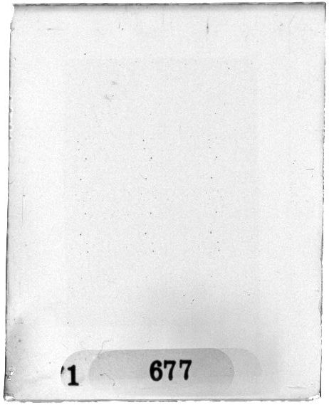Scan PZT1677
