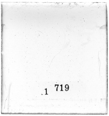 Scan PZT1719